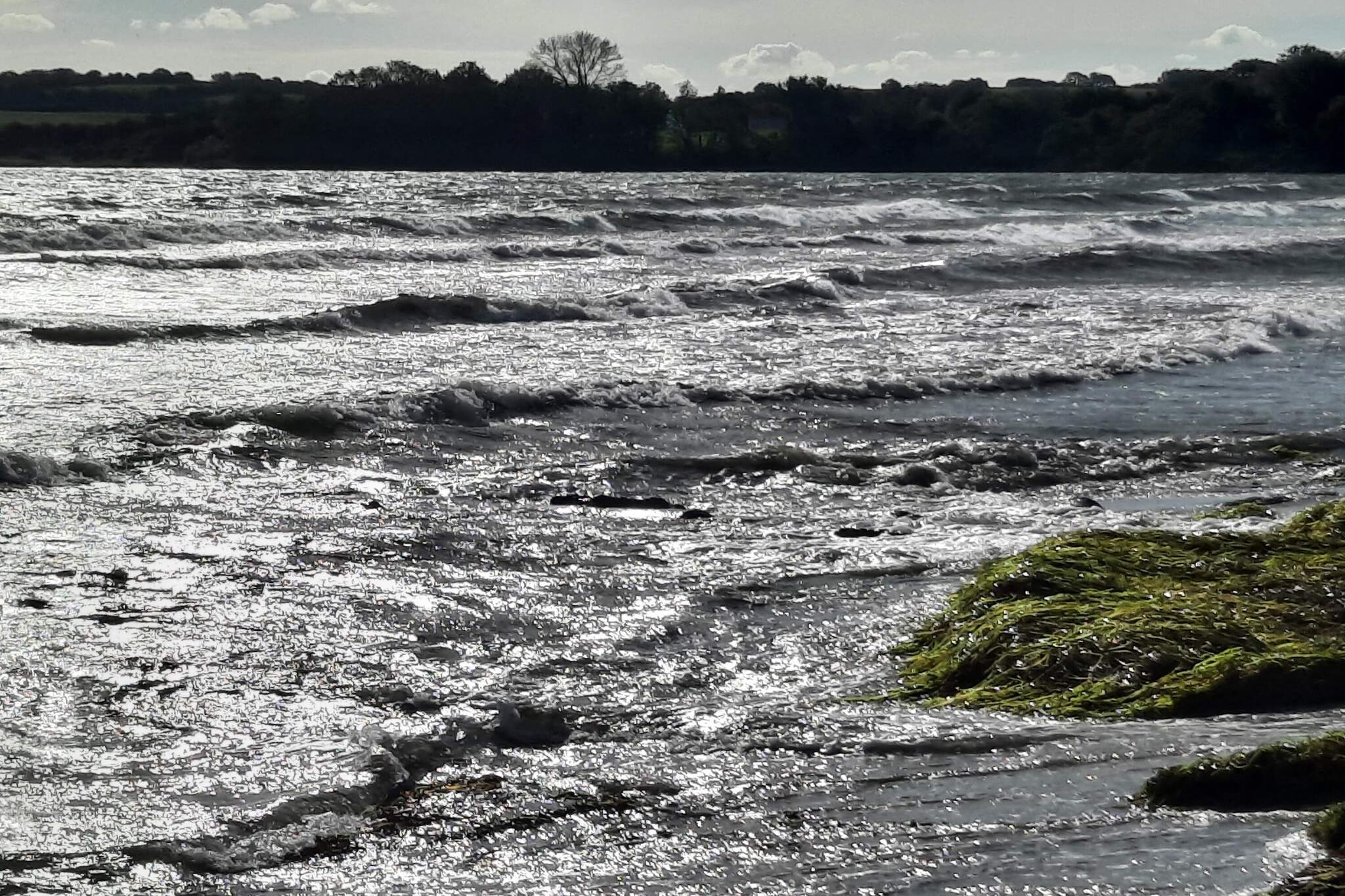 4 persoons vakantie huis in Broager-By Traum-Waterzicht