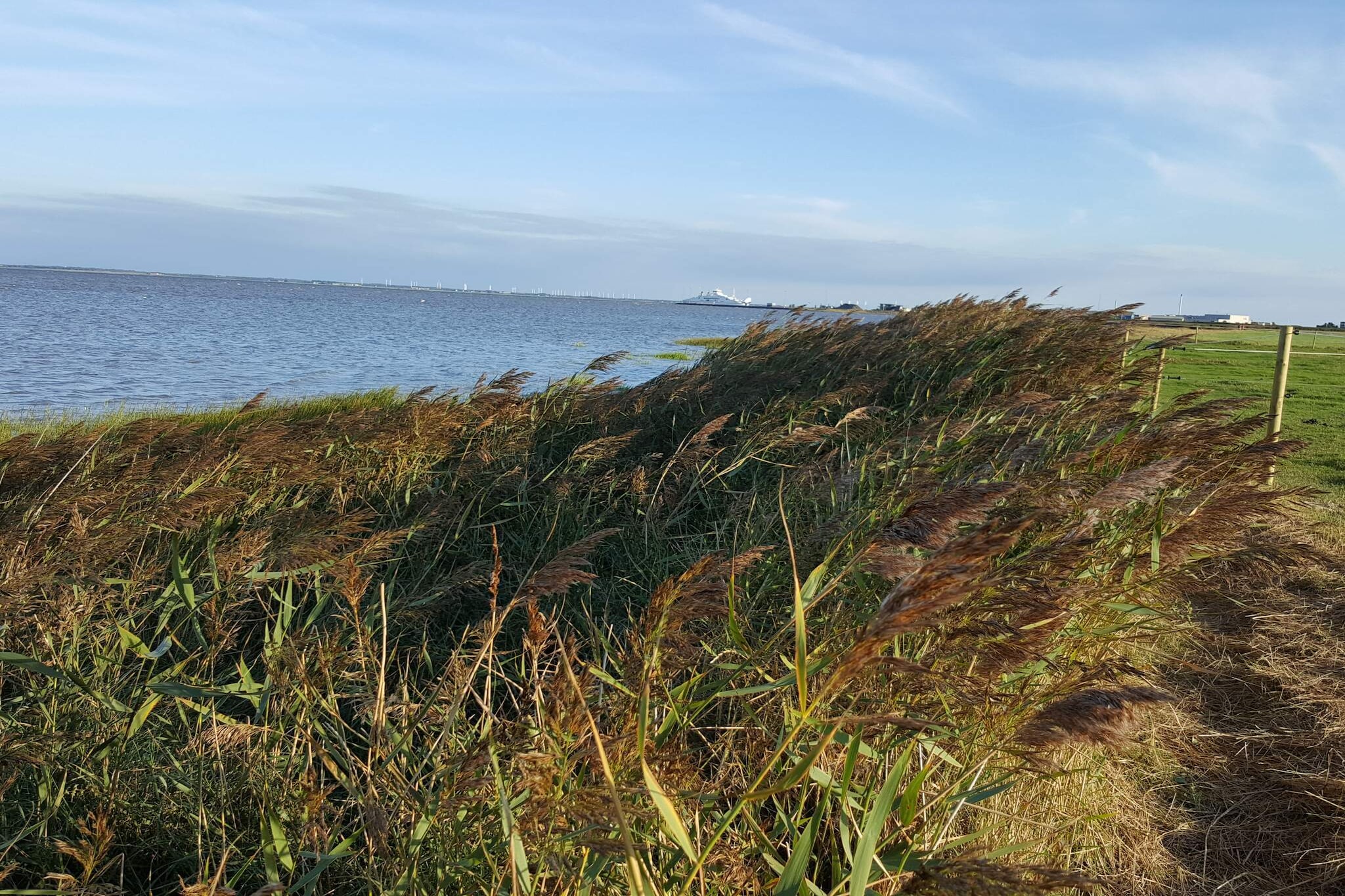 Water View