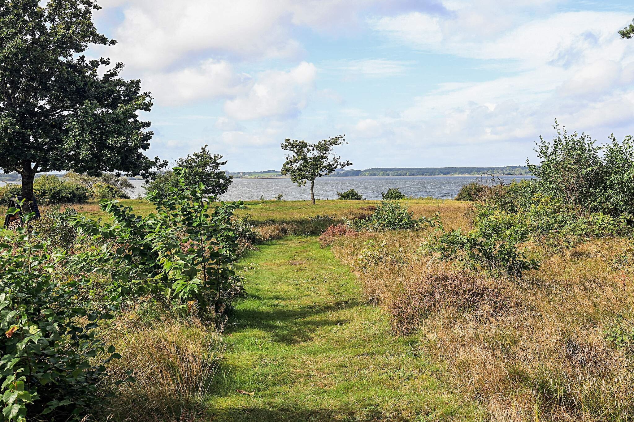 Water View
