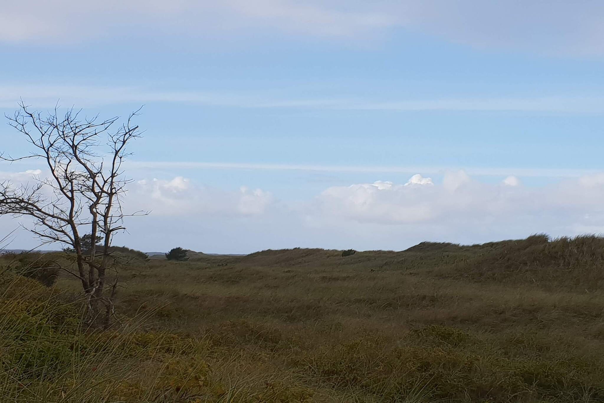 Gezellig strandverblijf -- By Traum Ferienwohnungen
