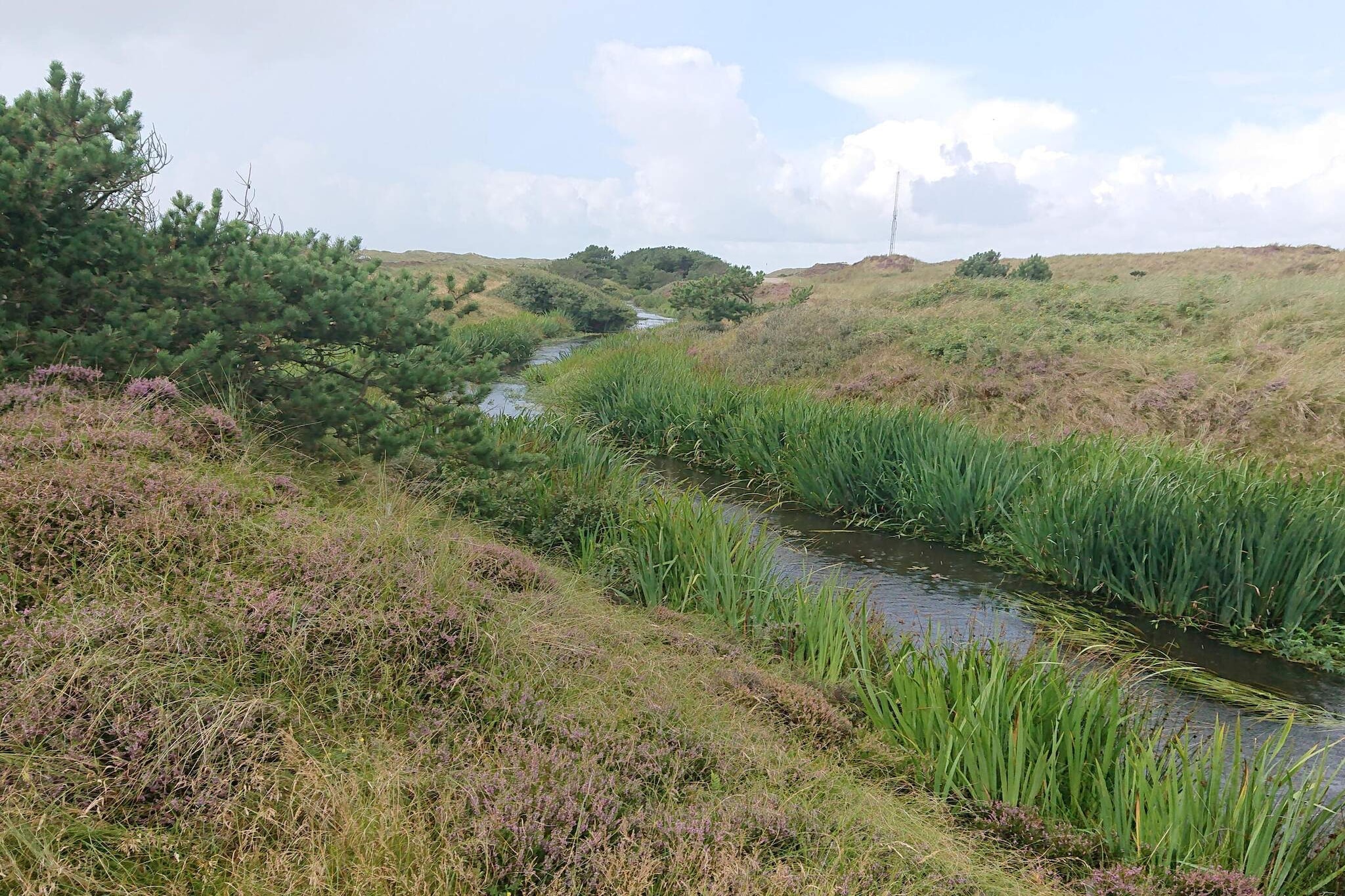 Gezellig strandhuis in Vejers - Waterzicht