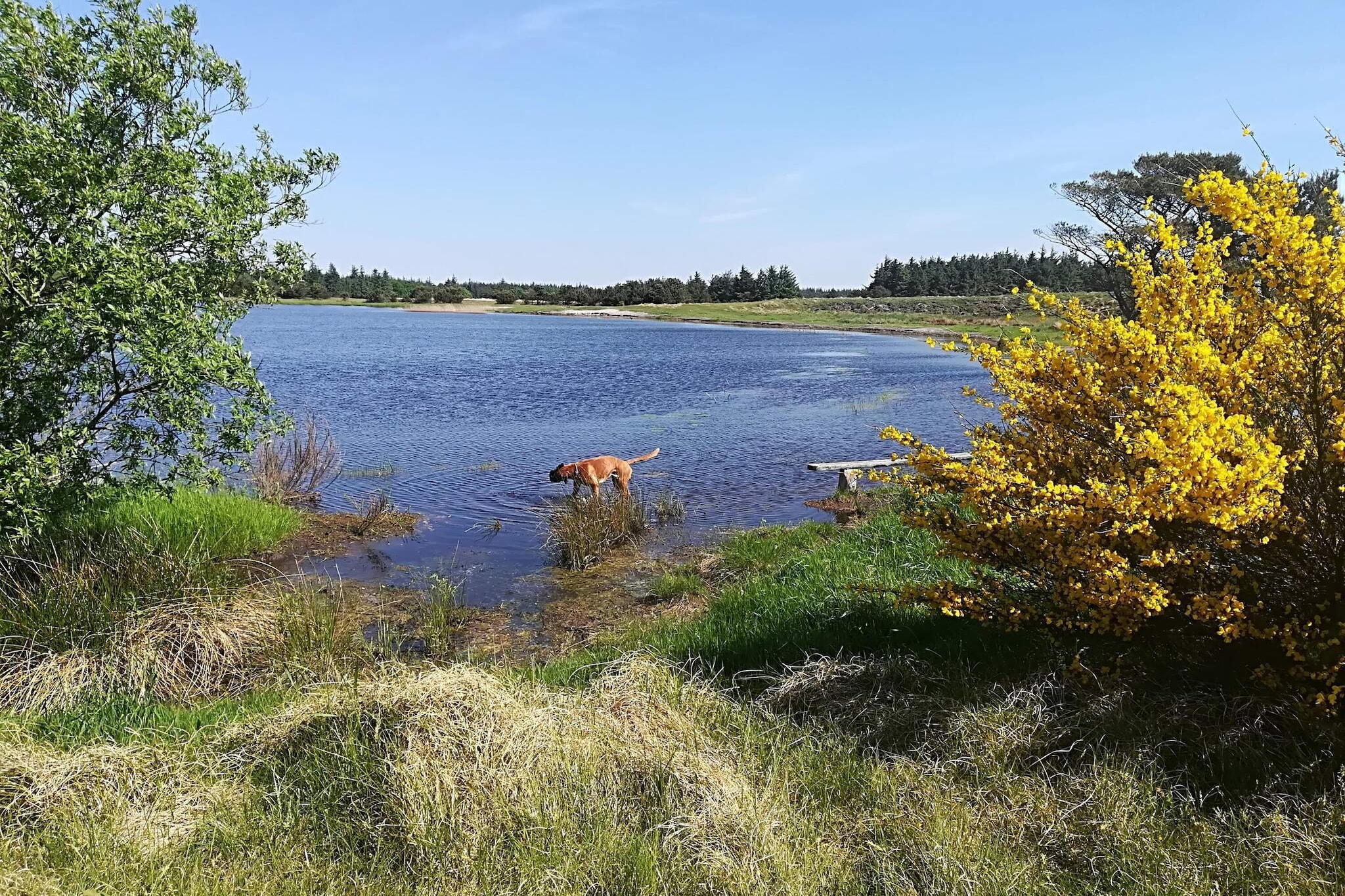 Gezellig strandhuis in Vejers - Waterzicht