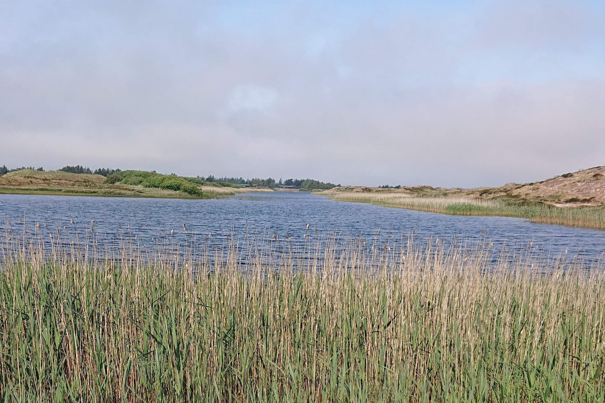Gezellig strandhuis in Vejers - Waterzicht