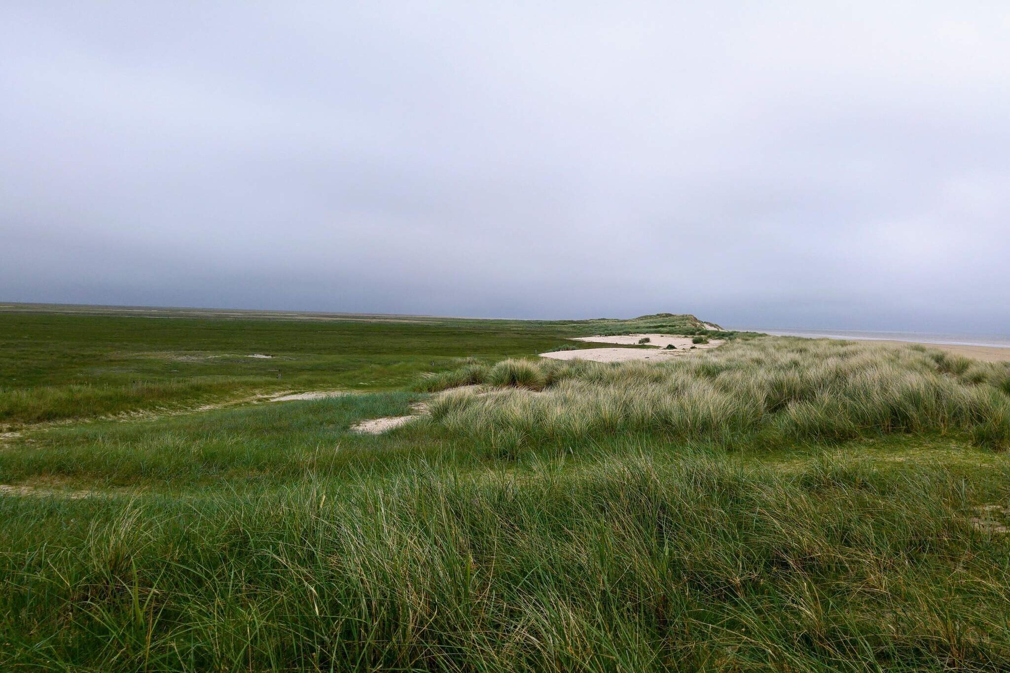 Gezellig toevluchtsoord in Sonderho -- By Traum Ferienwohnungen-Niet-getagd