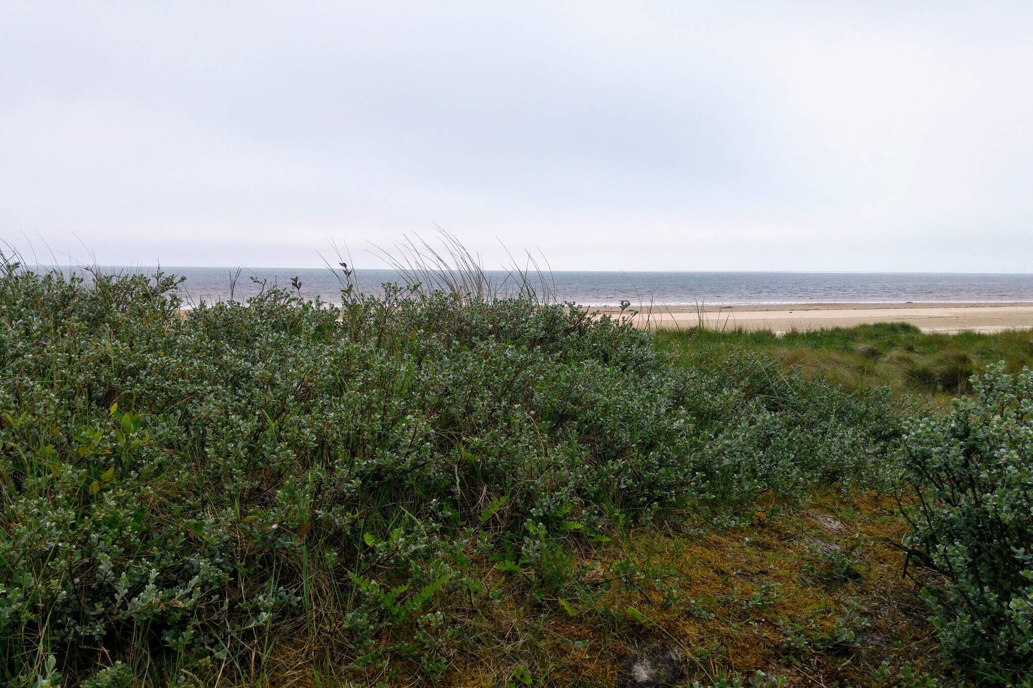 Gezellig toevluchtsoord in Sonderho -- By Traum Ferienwohnungen-Niet-getagd