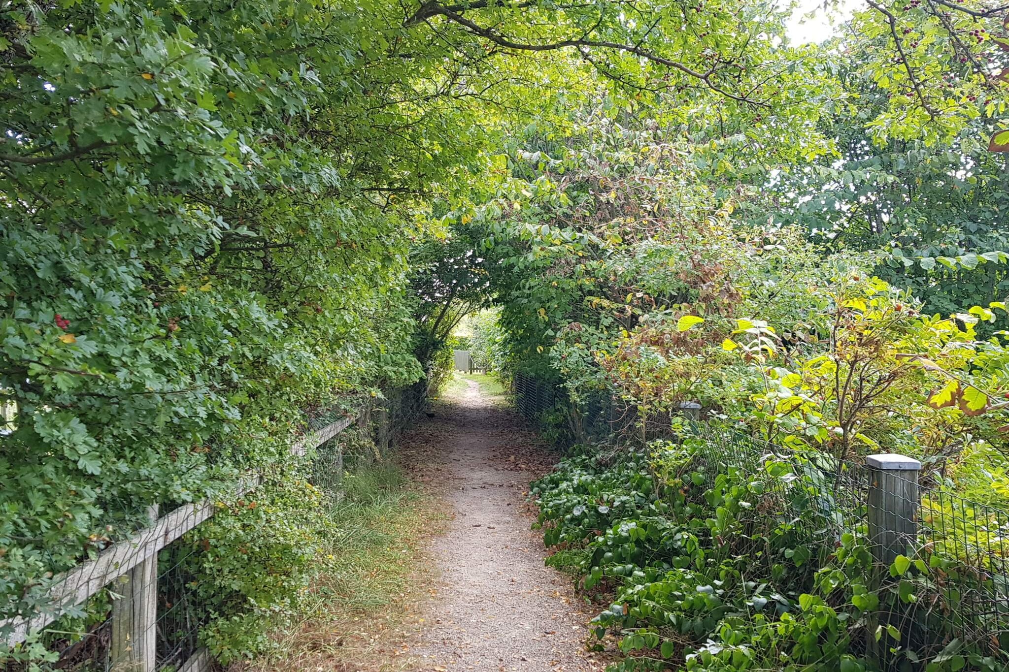 Gezellig toevluchtsoord in Sonderho -- By Traum Ferienwohnungen-Niet-getagd