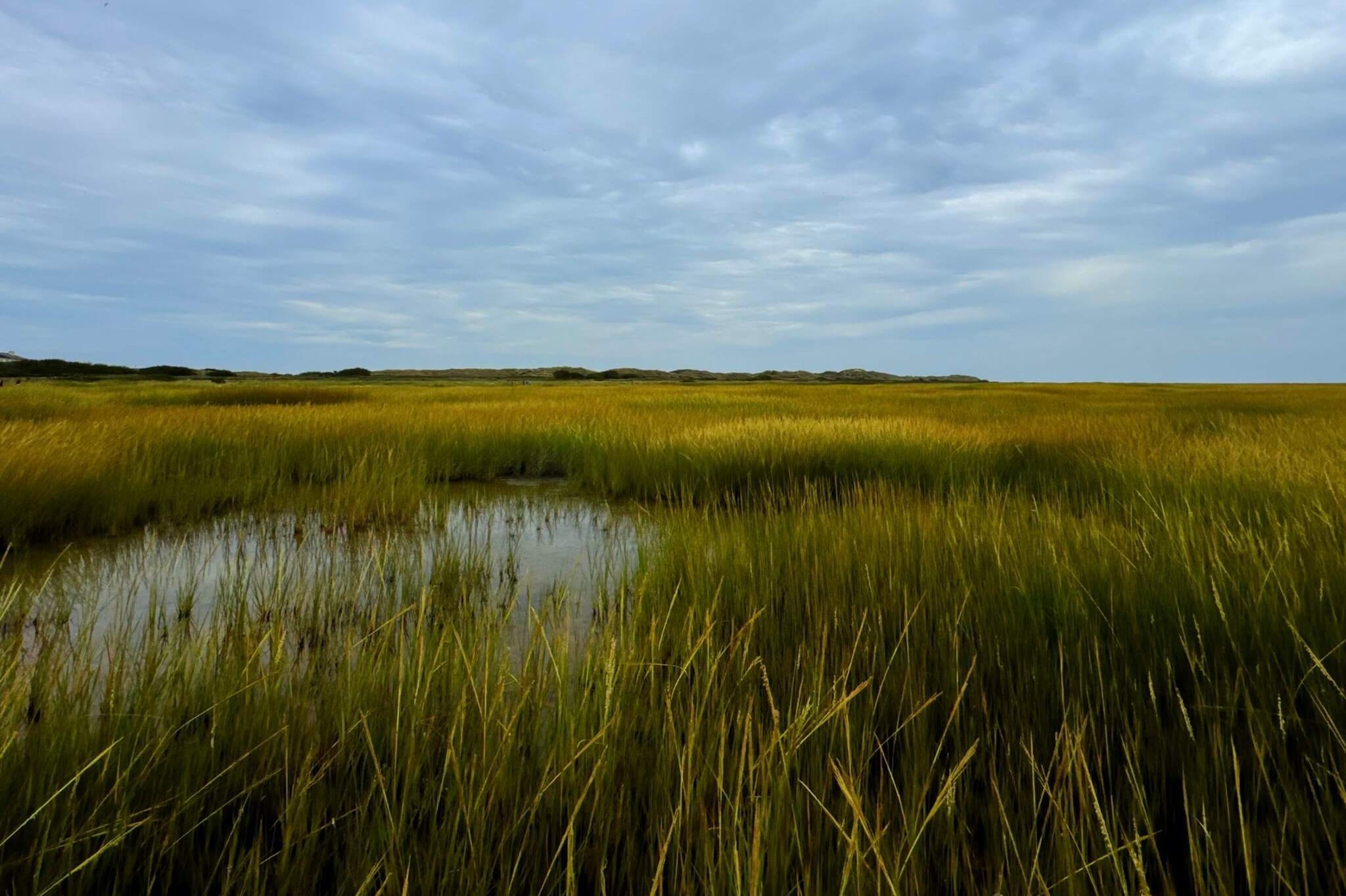 Gezellig toevluchtsoord in Sonderho -- By Traum Ferienwohnungen-Waterzicht