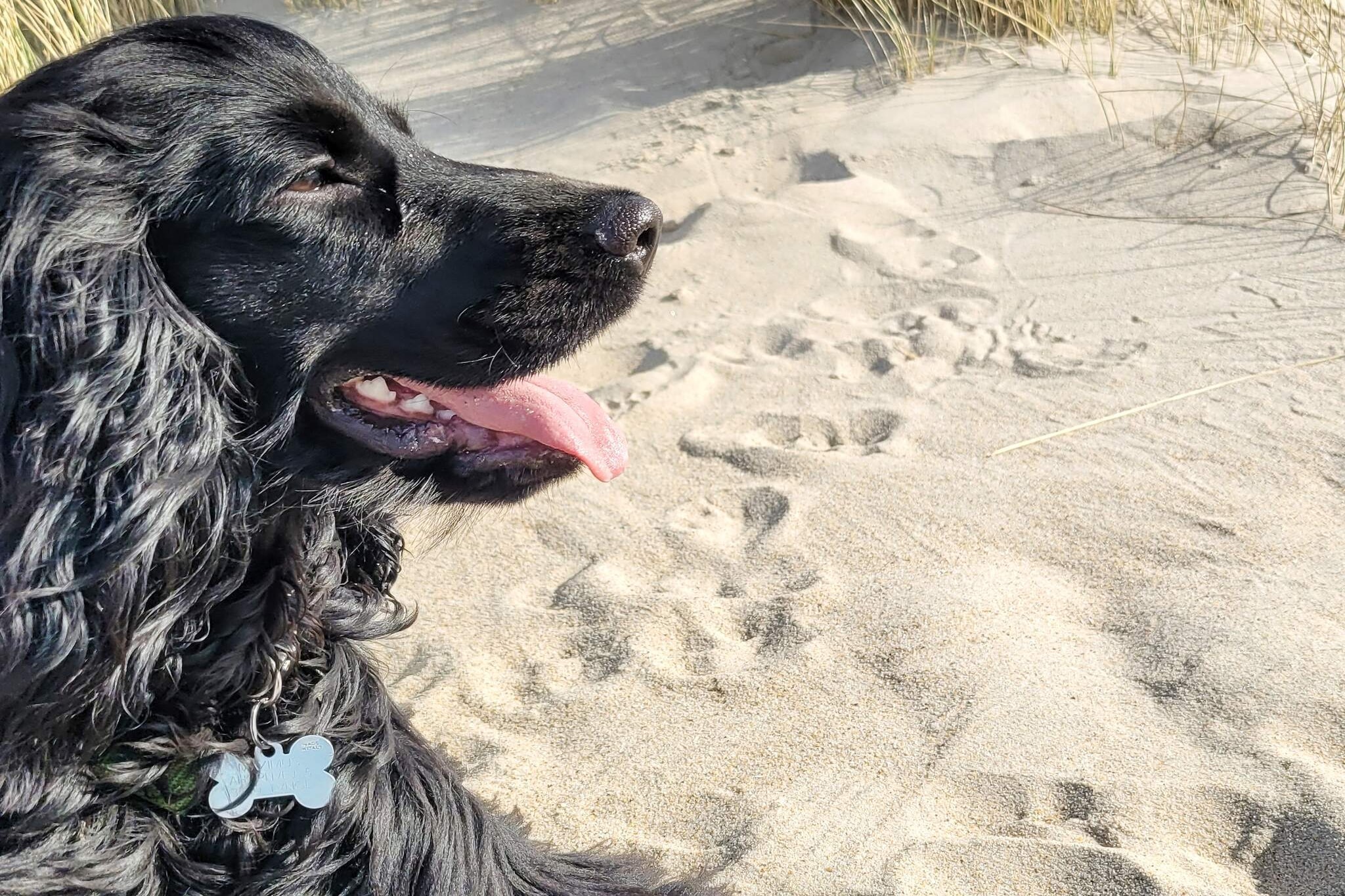 Luxe vakantieverblijf vlakbij het strand - Niet-getagd