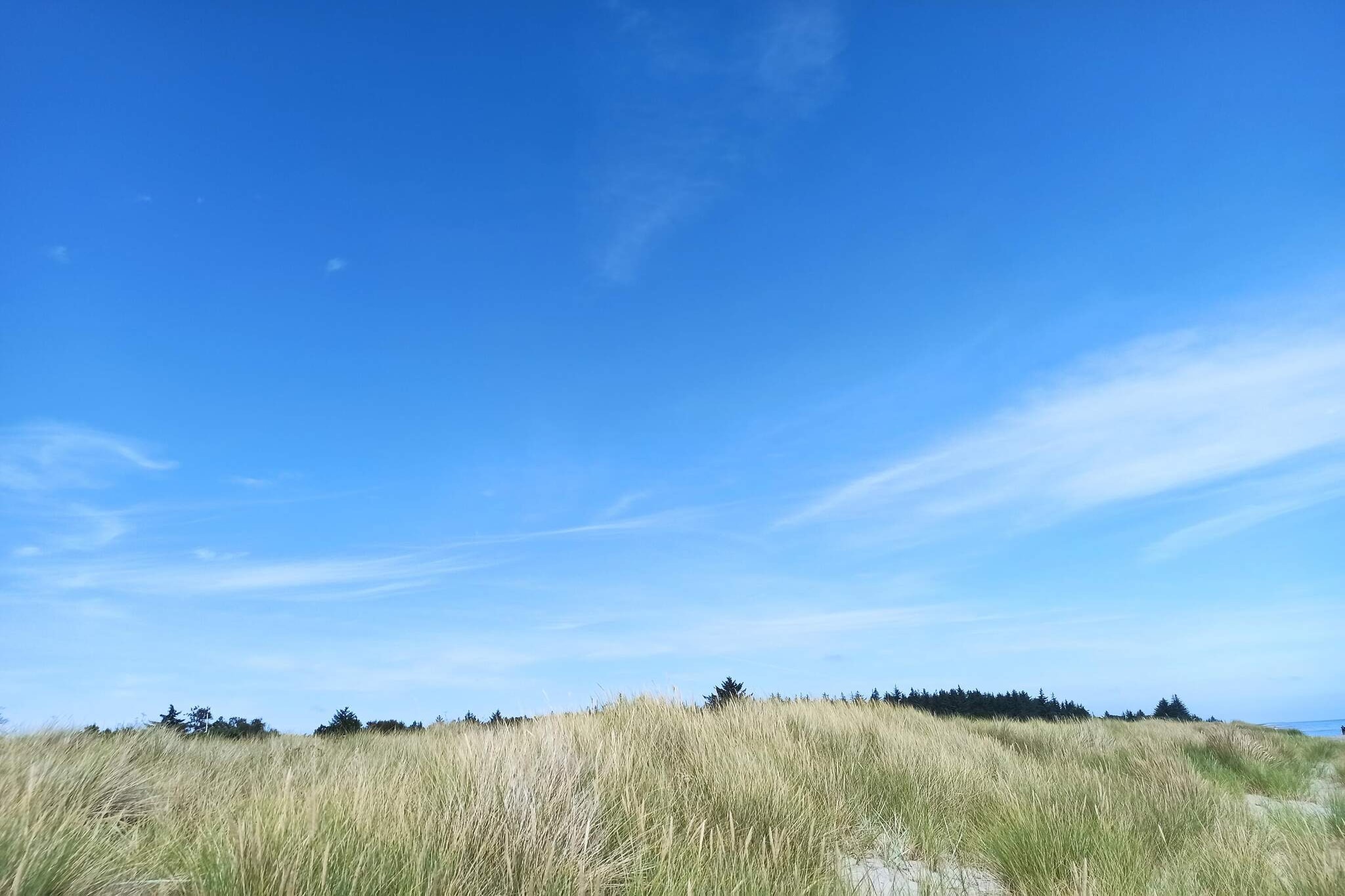 15 person holiday home in Hals-By Traum