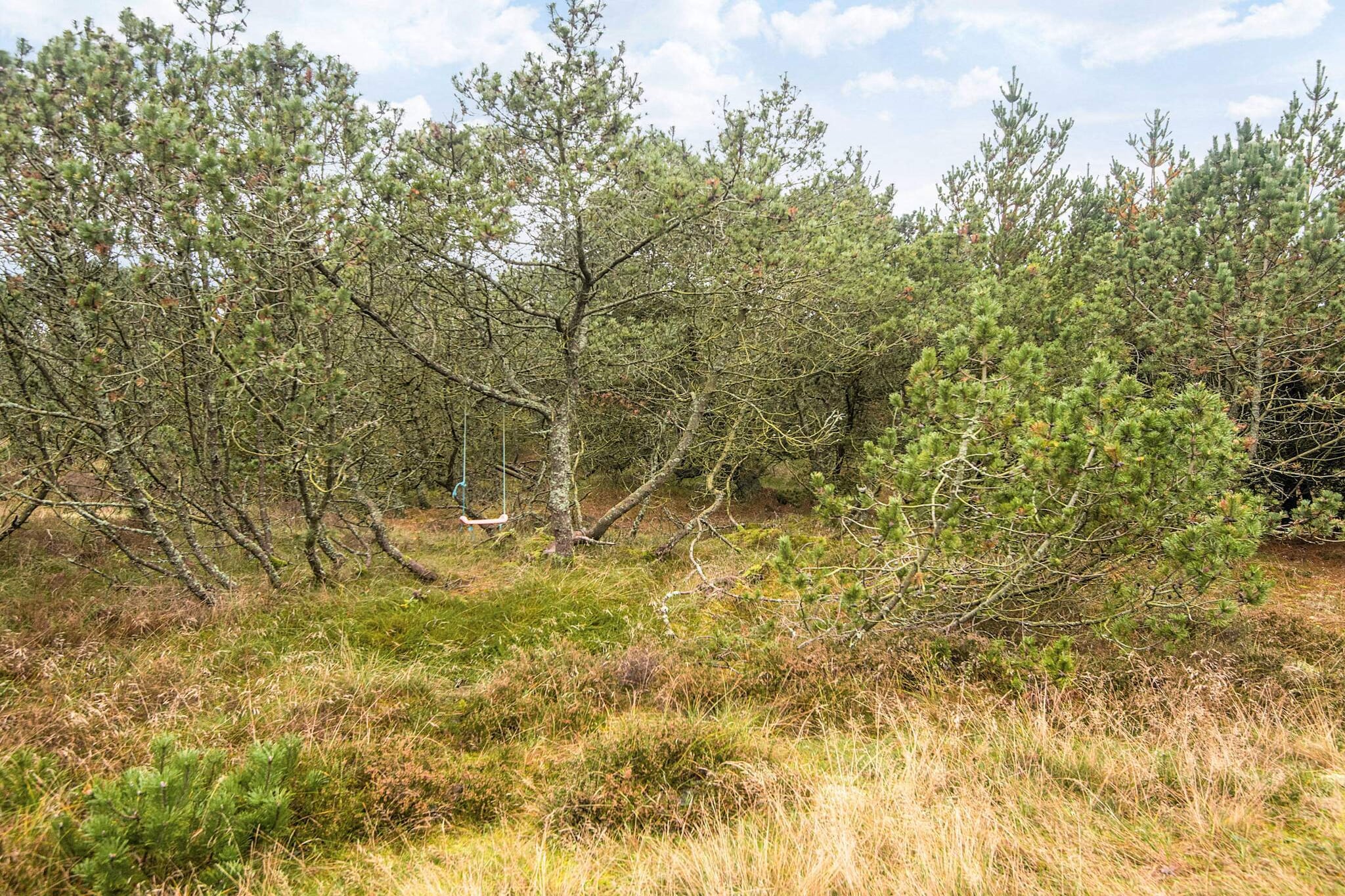 Luxe vakantieverblijf in Blavand - Uitzicht