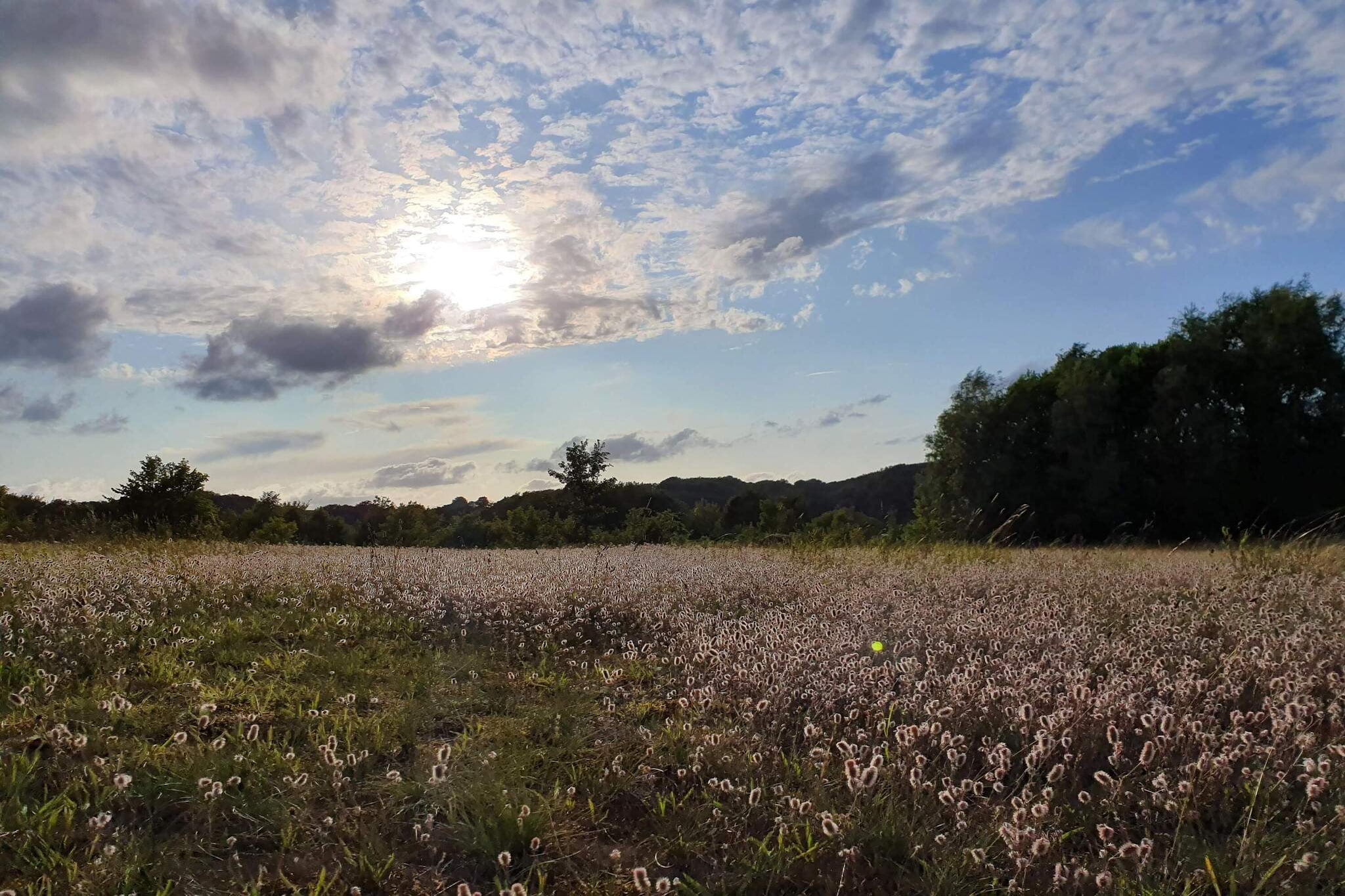 4 persoons vakantie huis in Haderslev-By Traum-Niet-getagd