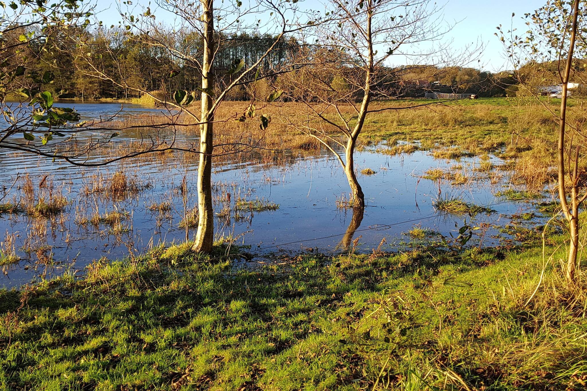 4 persoons vakantie huis in Haderslev-By Traum-Waterzicht
