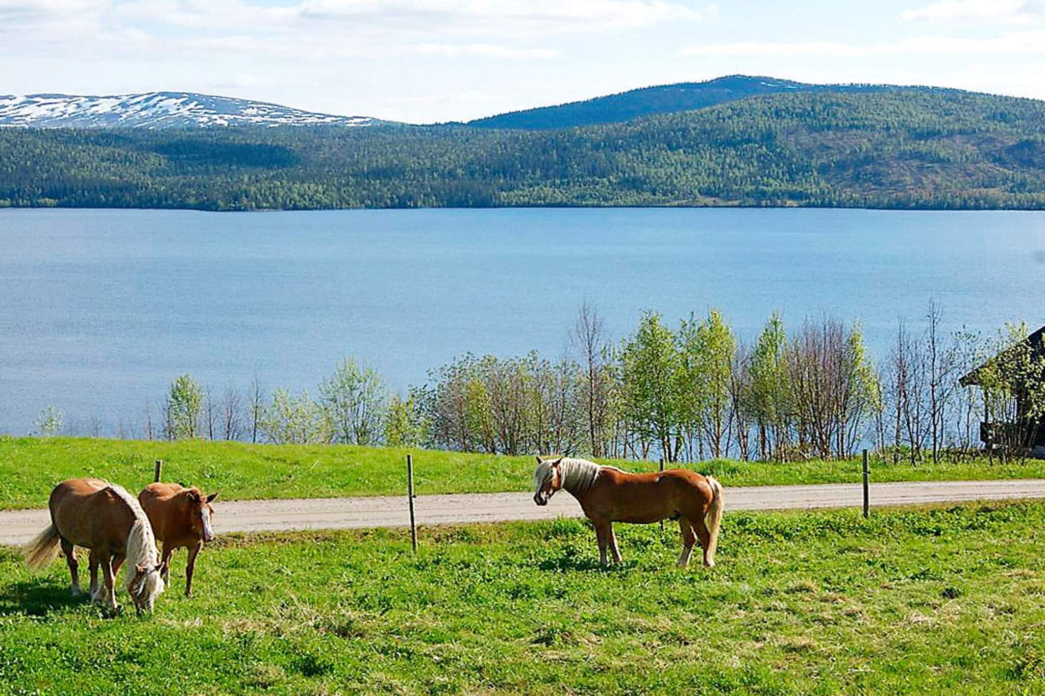 6 persoons vakantie huis in Nordli-By Traum - Niet-getagd
