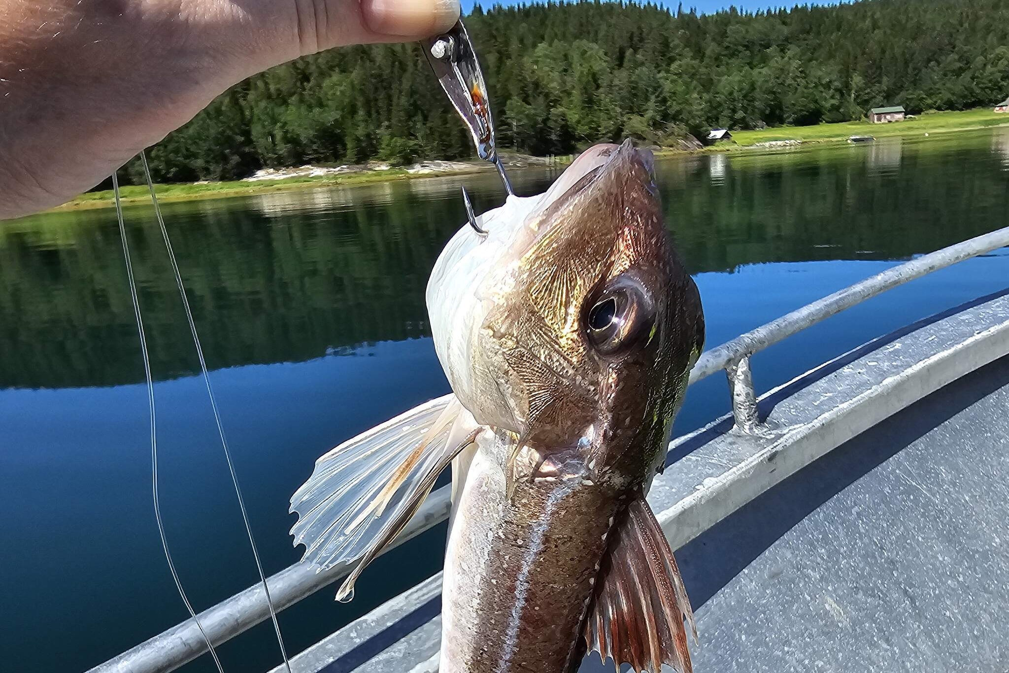 Maison de vacances pour 7 a Foldereid-By Traum-Non tagué