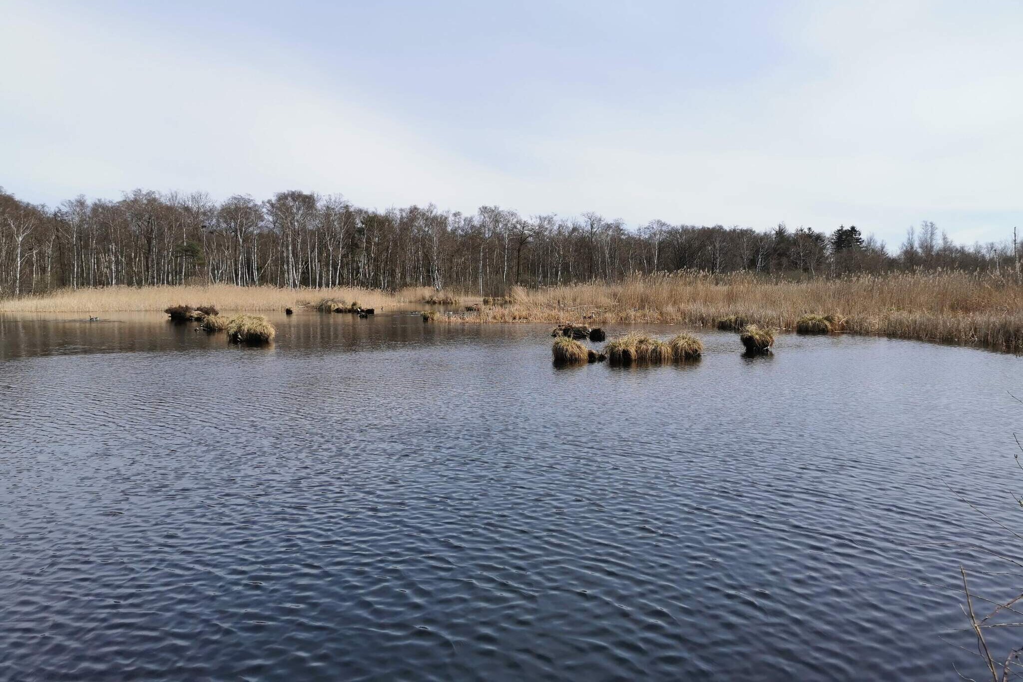6 person holiday home in Stubbekøbing-By Traum - Water view