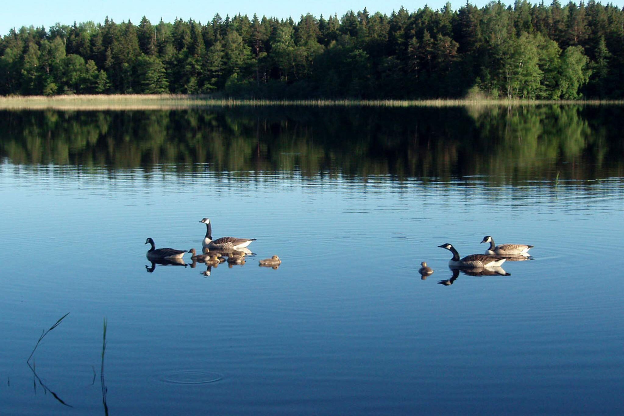 5 persoons vakantie huis in VÄDDÖ-By Traum - Uitzicht