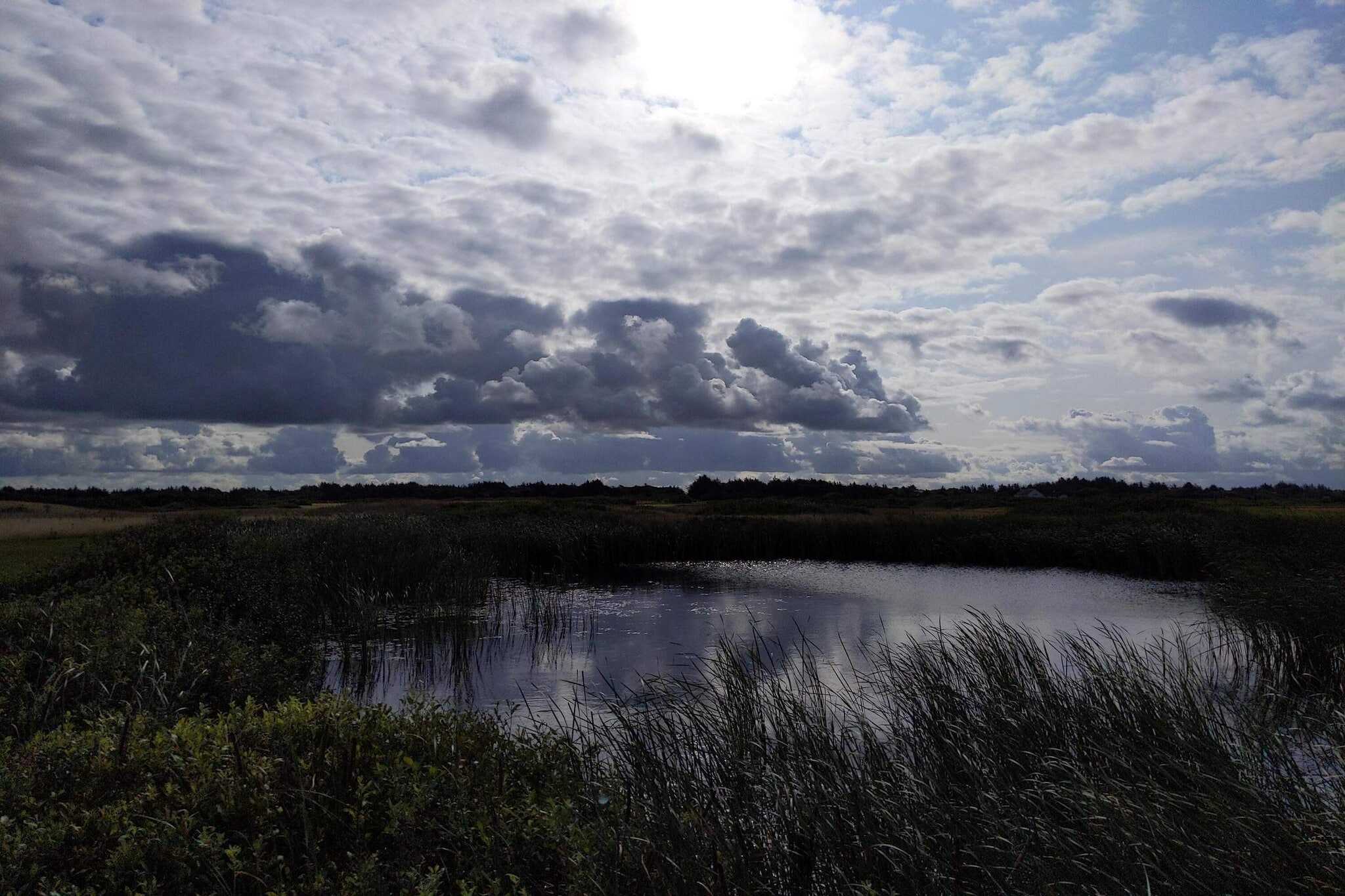 Helles Sommerhaus am Meer -- By Traum Ferienwohnungen