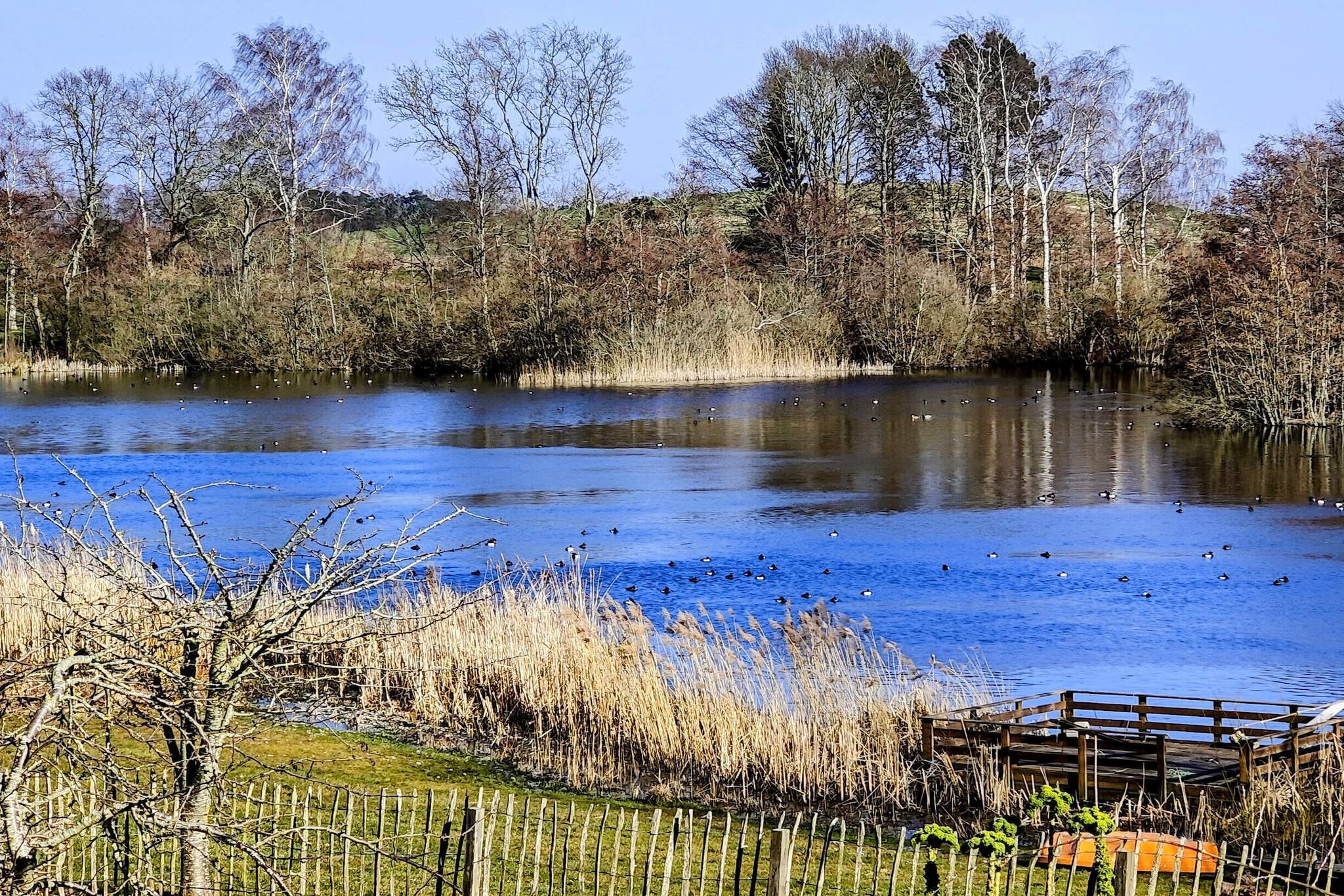 4 persoons vakantie huis in Skibby-By Traum - Waterzicht