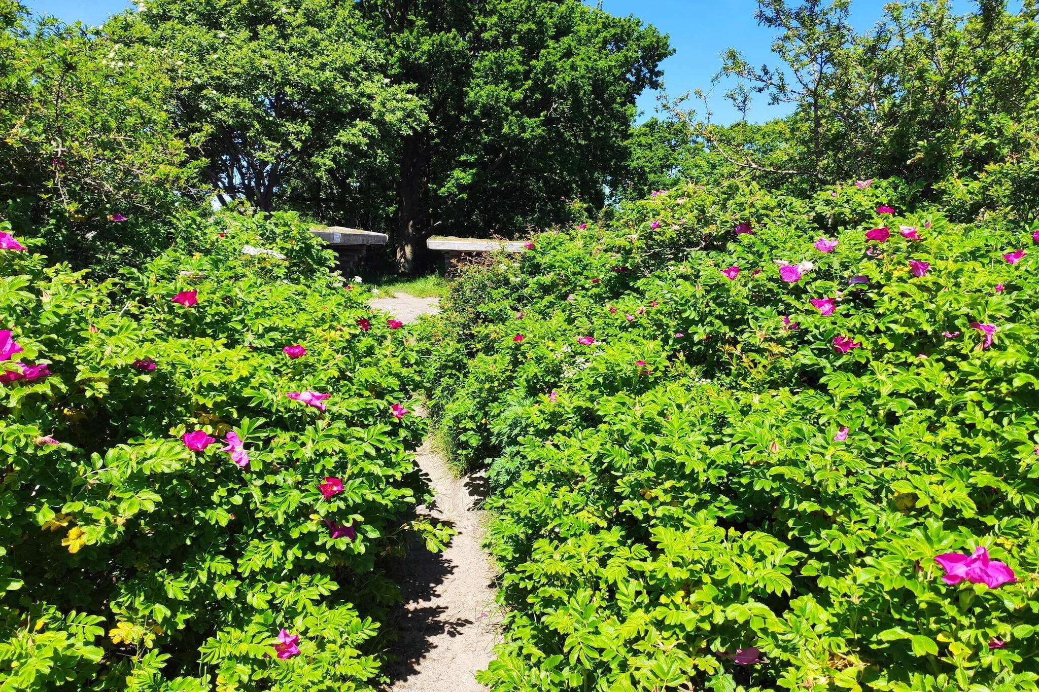 Zeezijde oase met Spa -- By Traum Ferienwohnungen-Niet-getagd