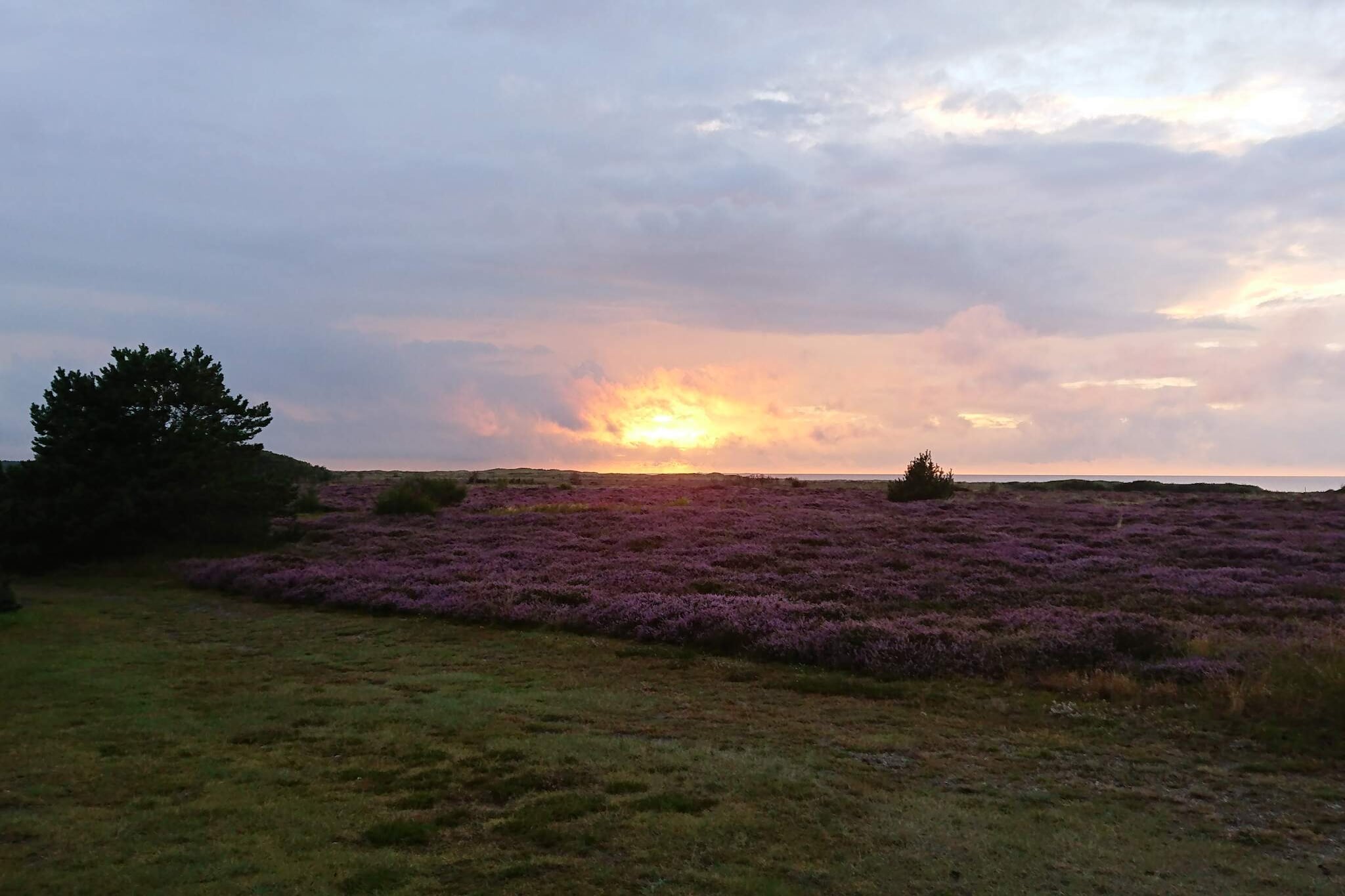 8 persoons vakantie huis in Læsø-By Traum - Niet-getagd