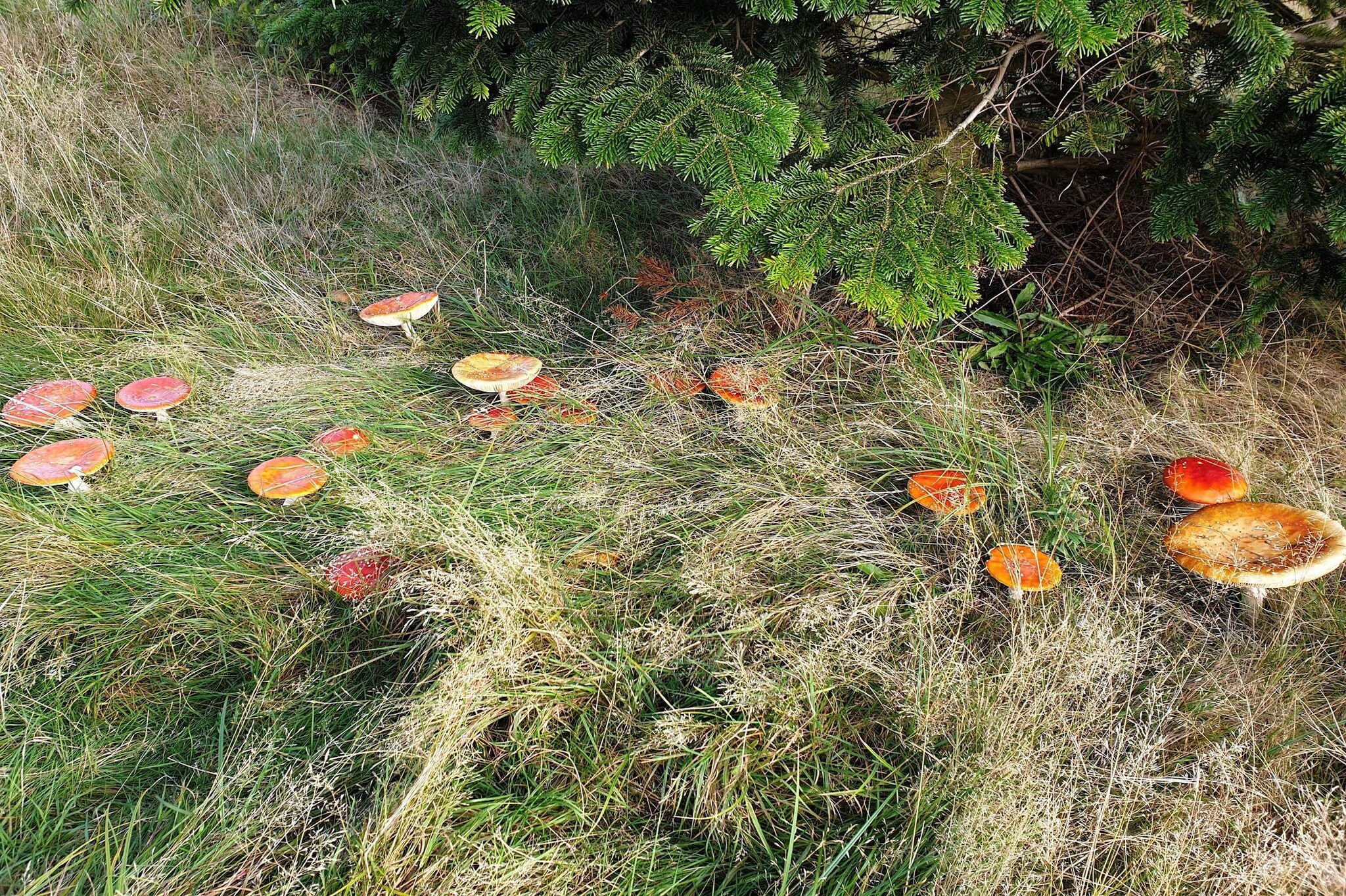 10 person holiday home in Væggerløse