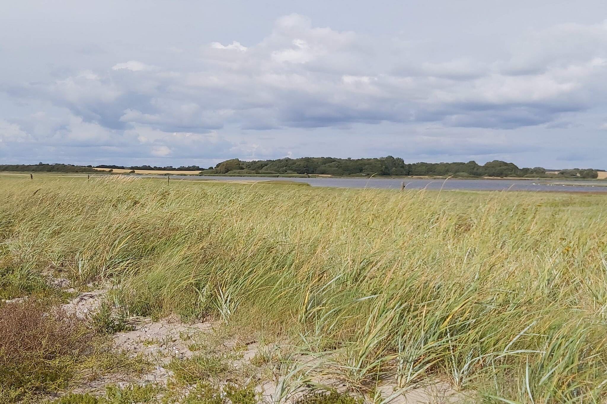 Familieverblijf aan het strand