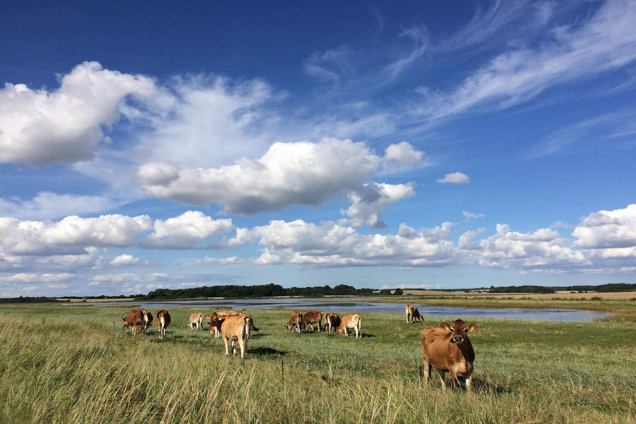 Familieverblijf aan het strand - Niet-getagd