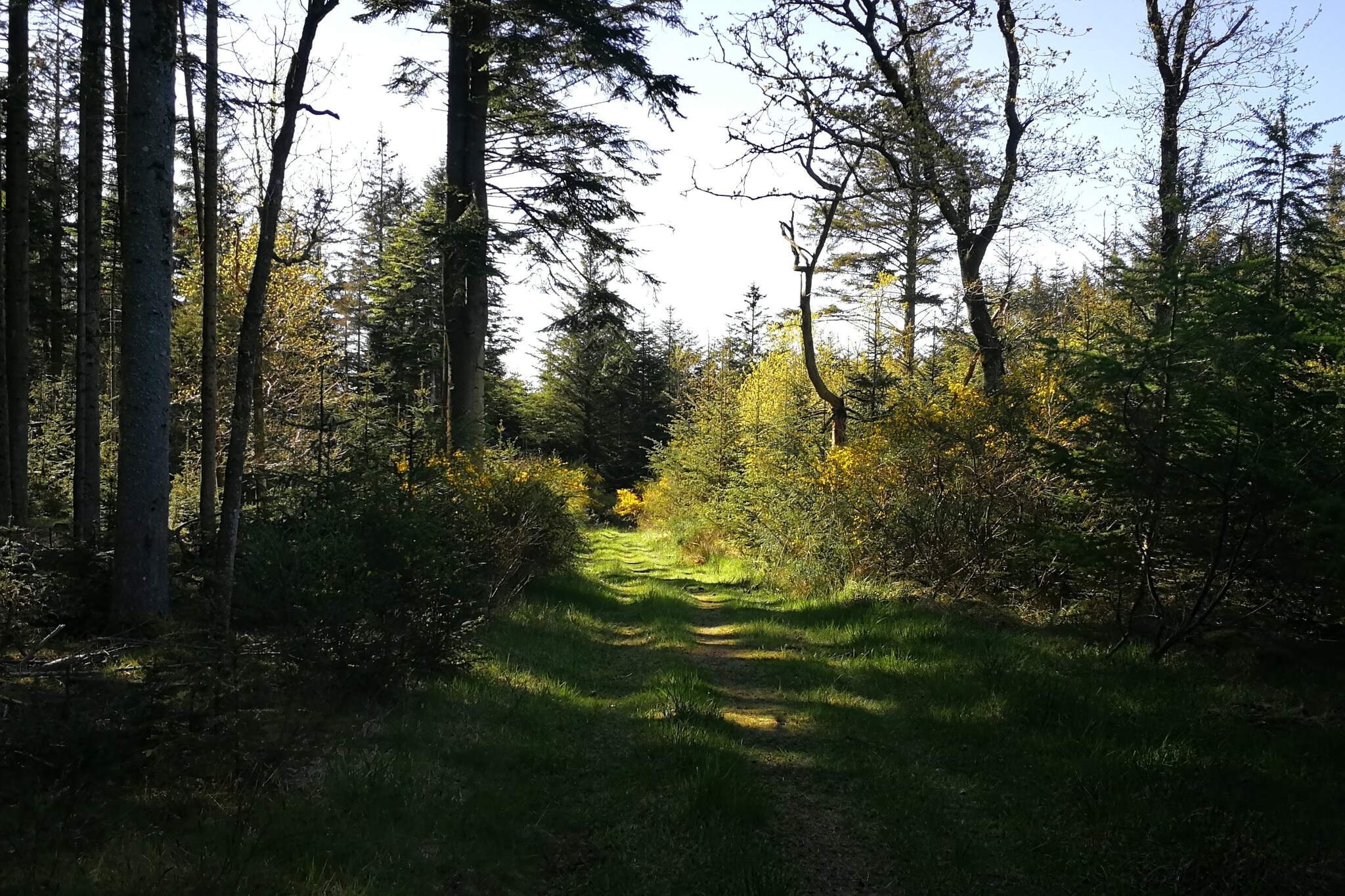 Rustige retraite in Klitmoller -- By Traum Ferienwohnungen-Niet-getagd