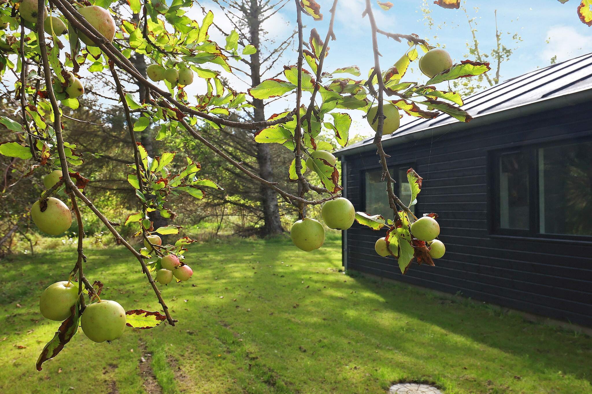 6 persoons vakantie huis in Hjørring-By Traum - Uitzicht