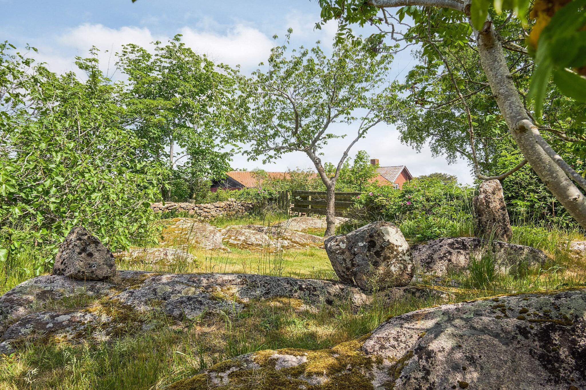 4 persoons vakantie huis in Allinge-By Traum - Uitzicht