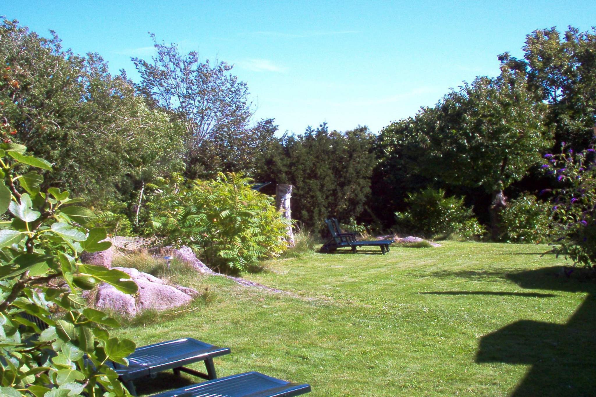 4 persoons vakantie huis in Allinge-By Traum - Uitzicht