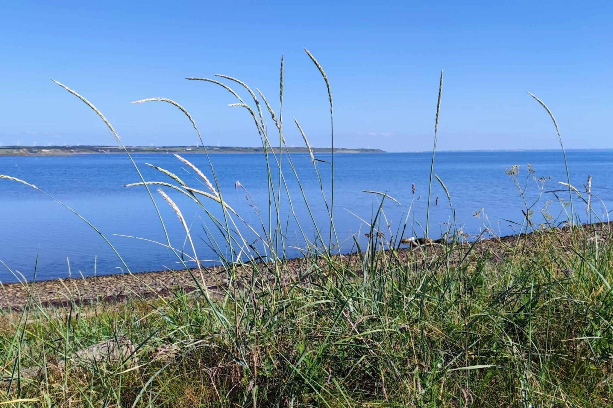 6 person holiday home in Vestervig-Water view