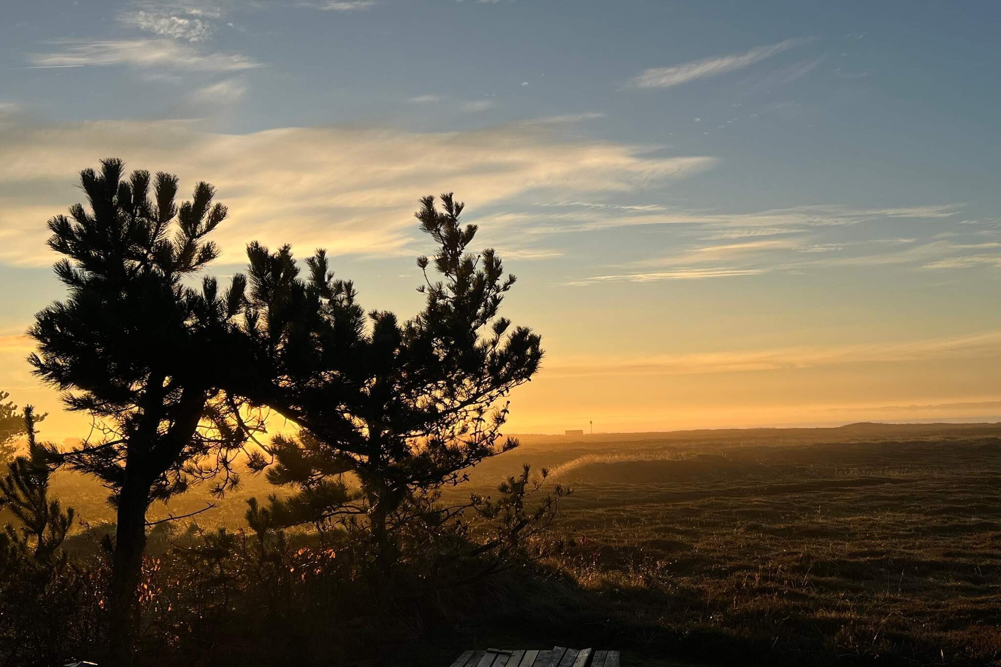 4 person holiday home in Hurup Thy-By Traum-Untagged