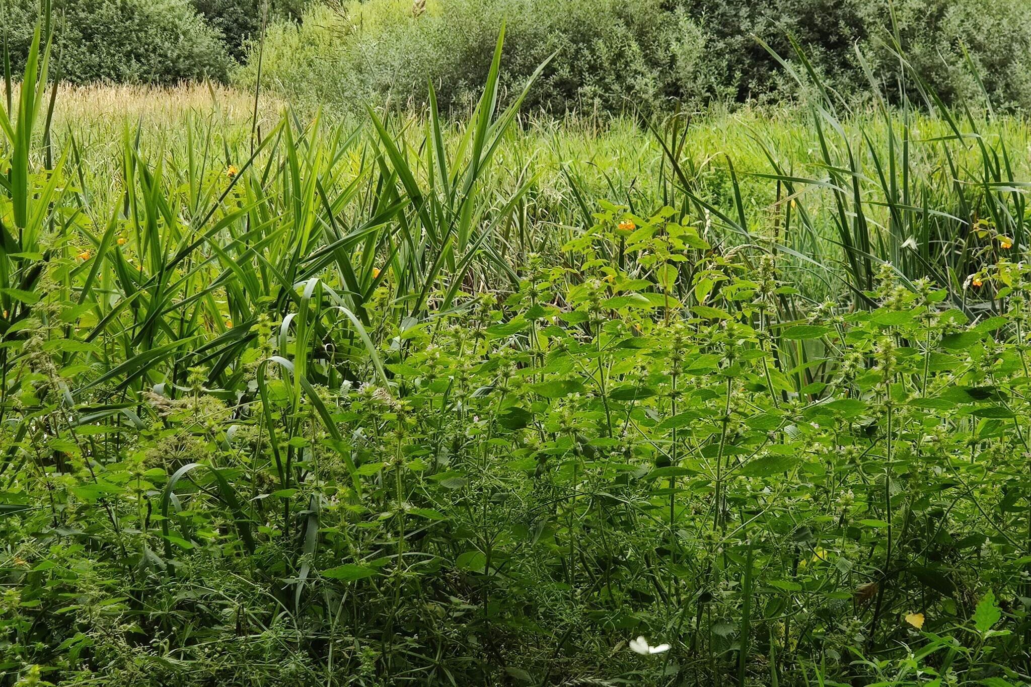 10 persoons vakantie huis in Fårvang-By Traum-Niet-getagd