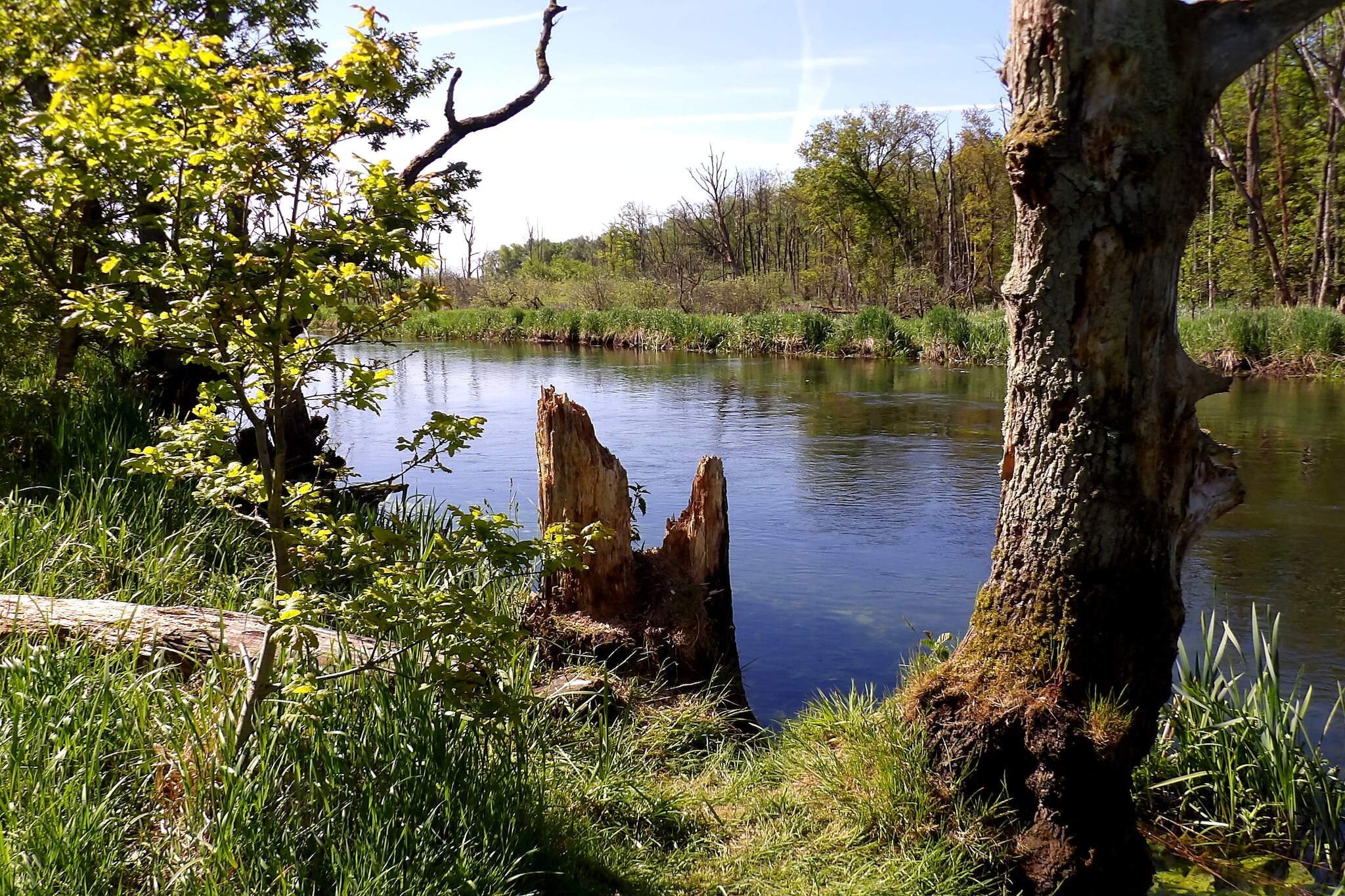 10 persoons vakantie huis in Fårvang-By Traum-Waterzicht