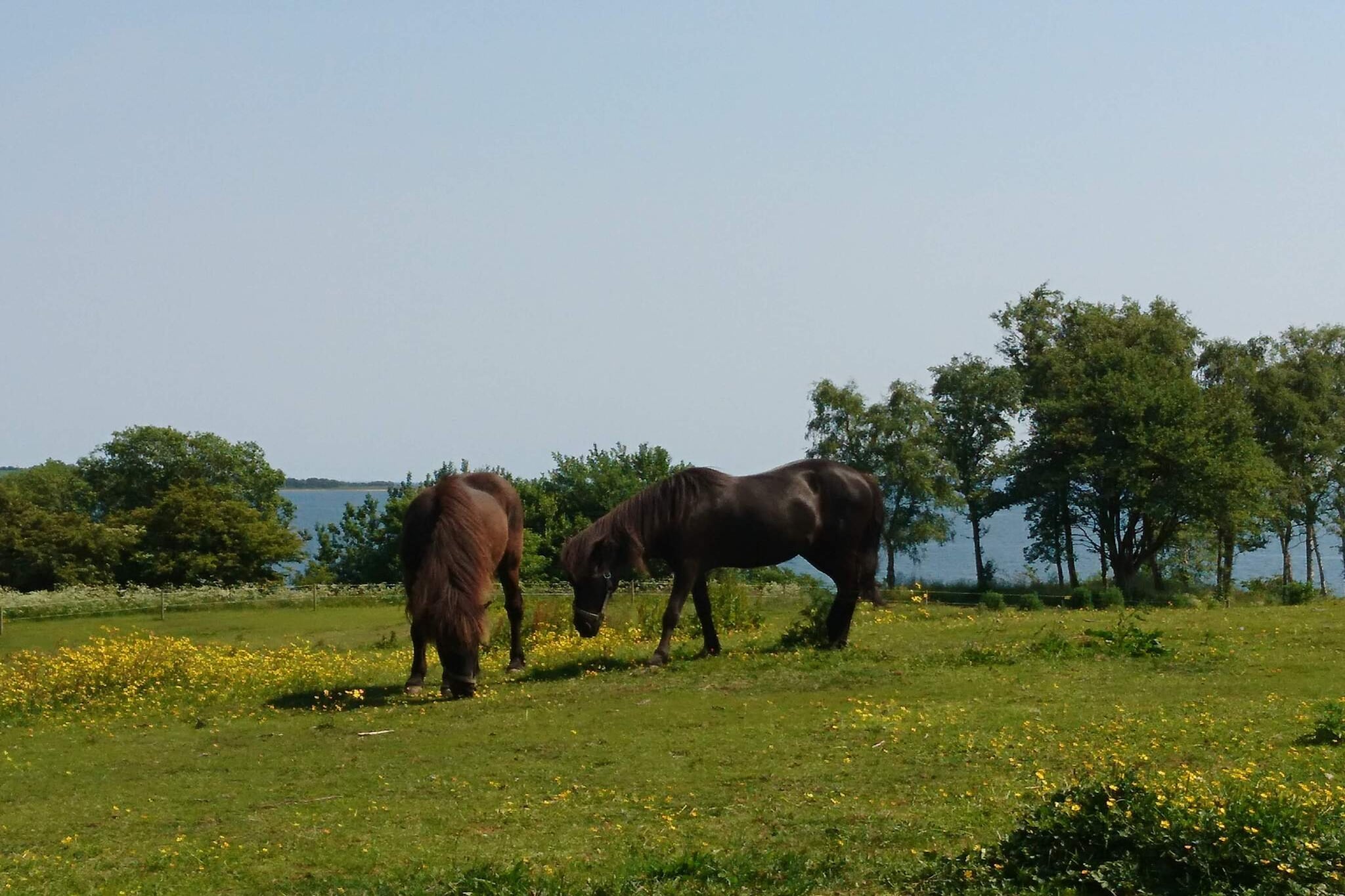 12 persoons vakantie huis in Aabenraa-By Traum - Niet-getagd