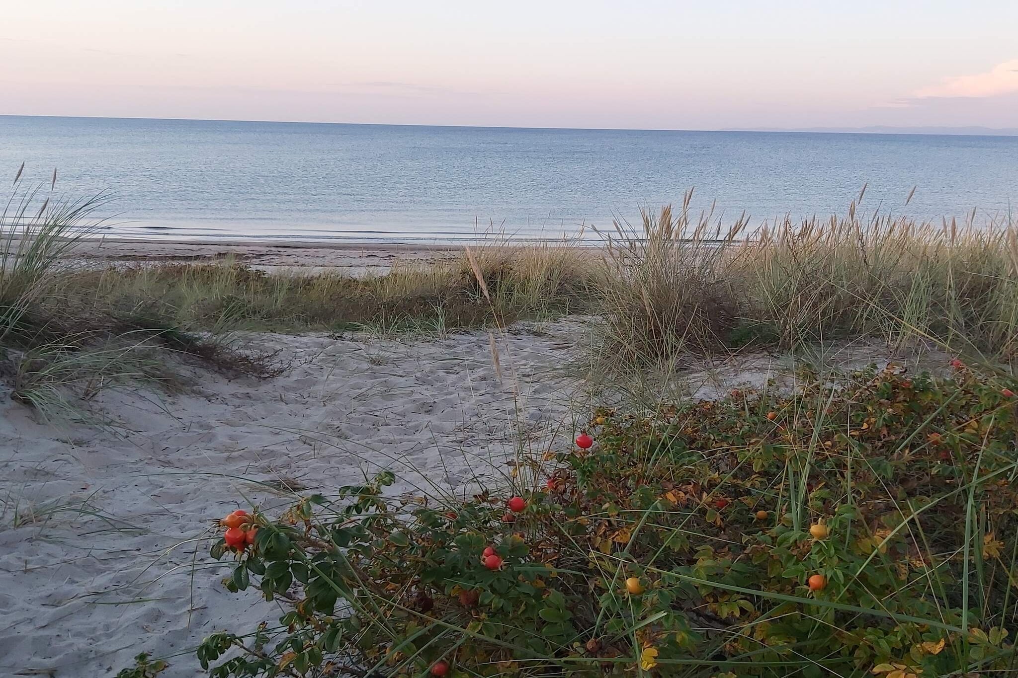 6 Personen Ferienhaus in Dronningmølle-By Traum-Nicht zugeordnet