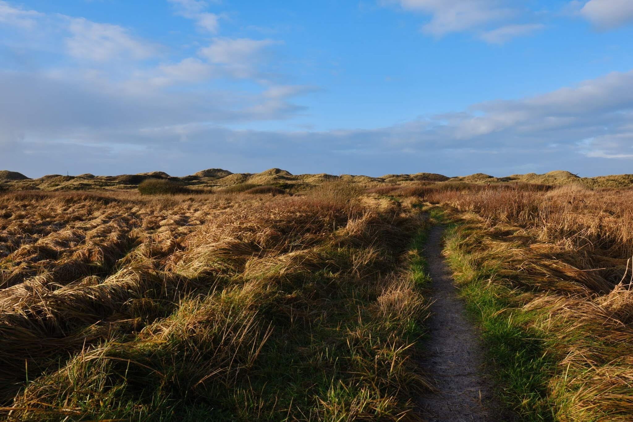 9 person holiday home in Blokhus-By Traum-Untagged