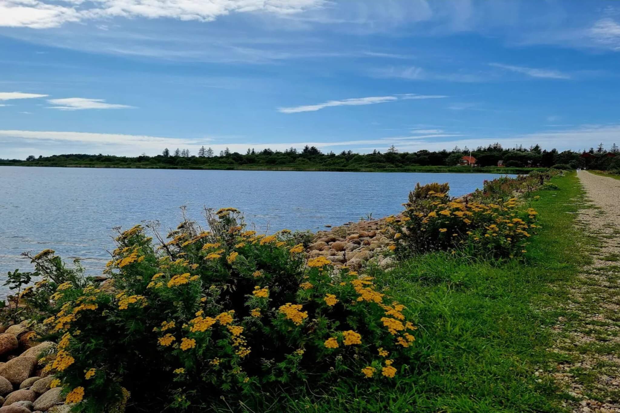 Afgelegen toevluchtsoord bij Lyngbo Heide - Waterzicht