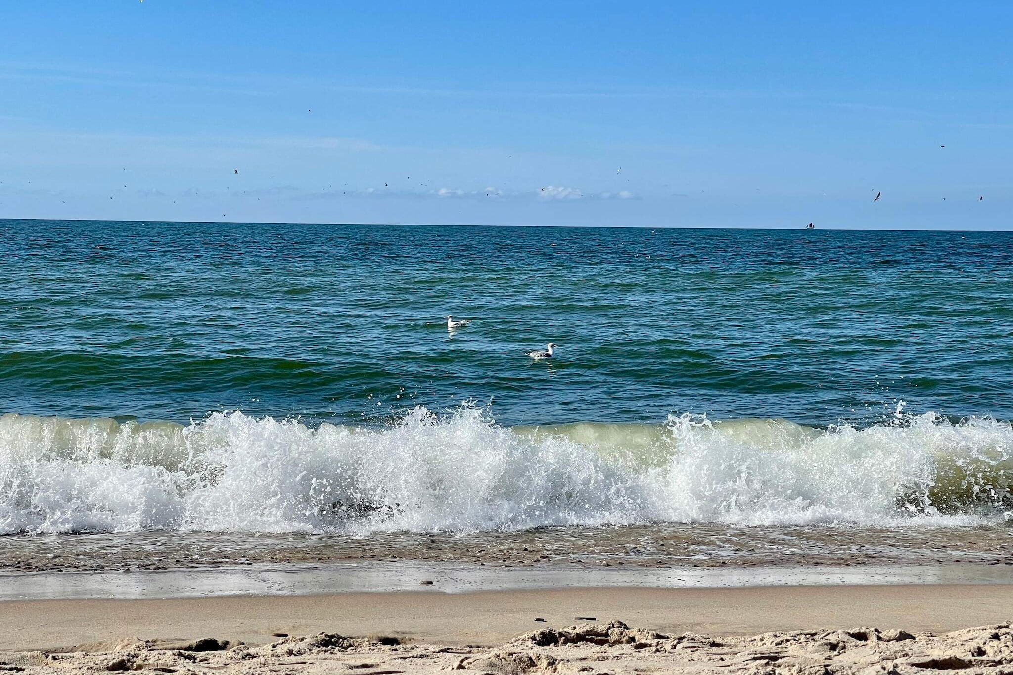 Kust ontsnapping met uitzicht -- By Traum Ferienwohnungen-Waterzicht