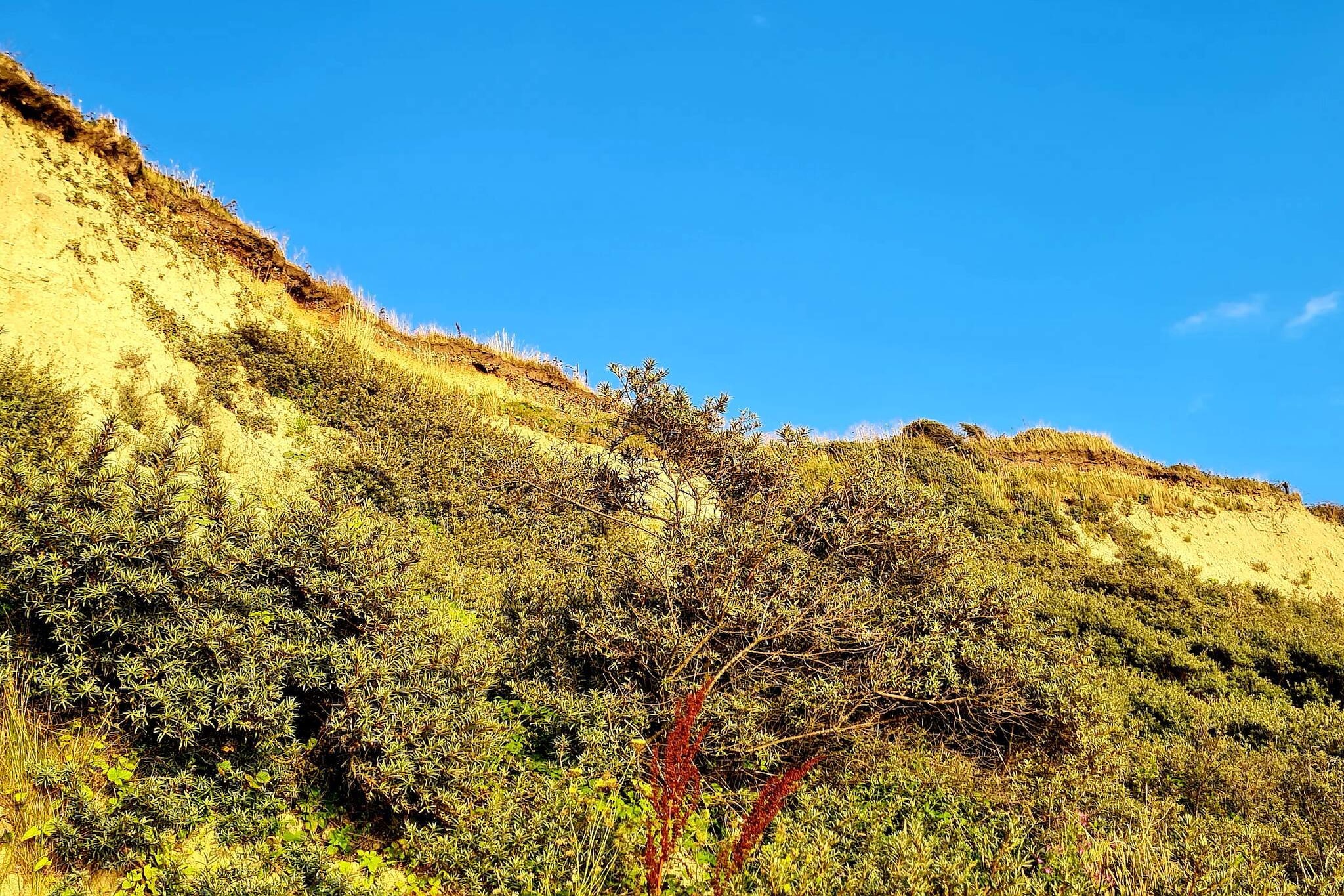 8 persoons vakantie huis in Vestervig-By Traum-Niet-getagd