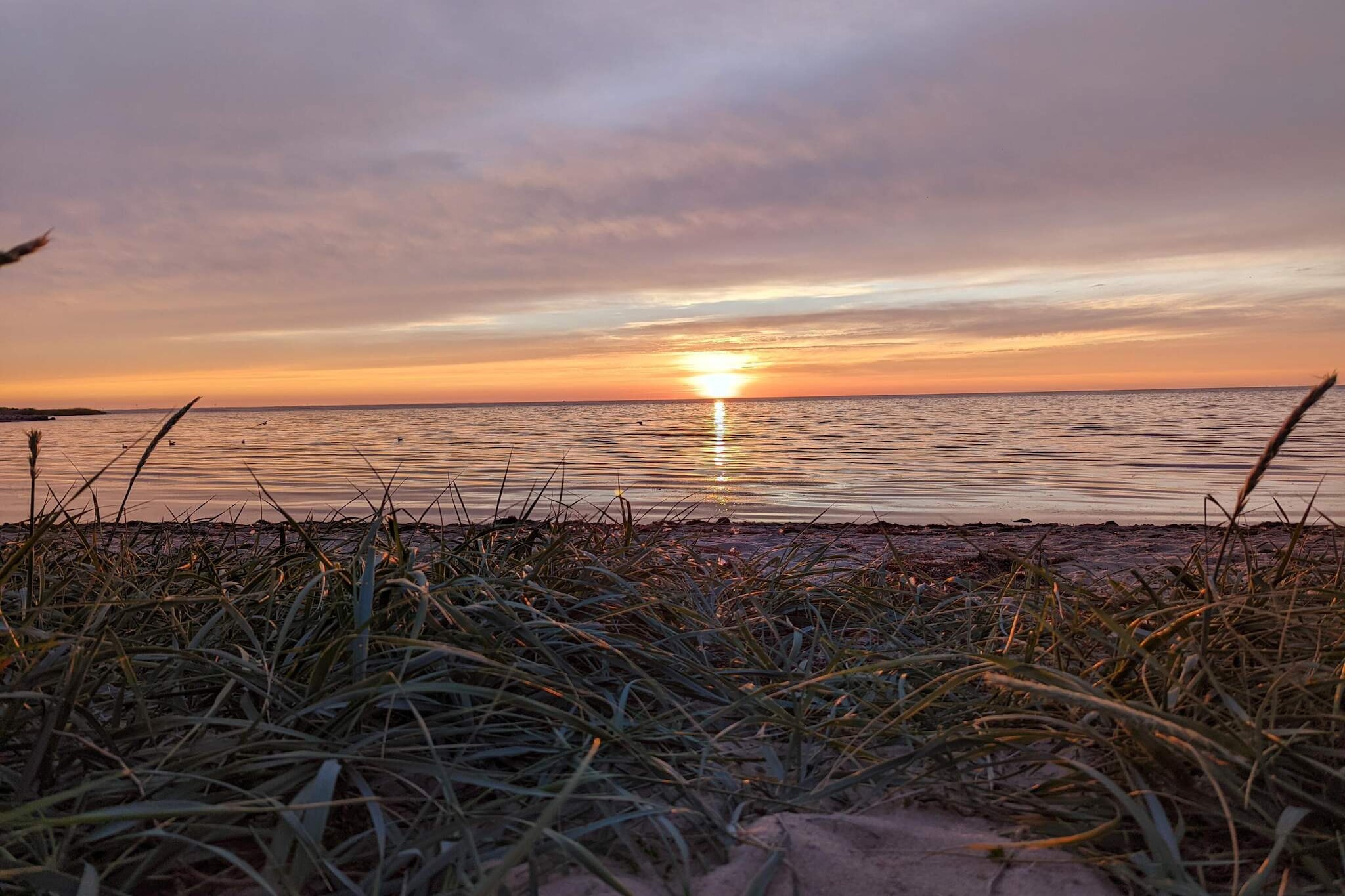 12 Personen Ferienhaus in Tarm-By Traum - Wasserblick