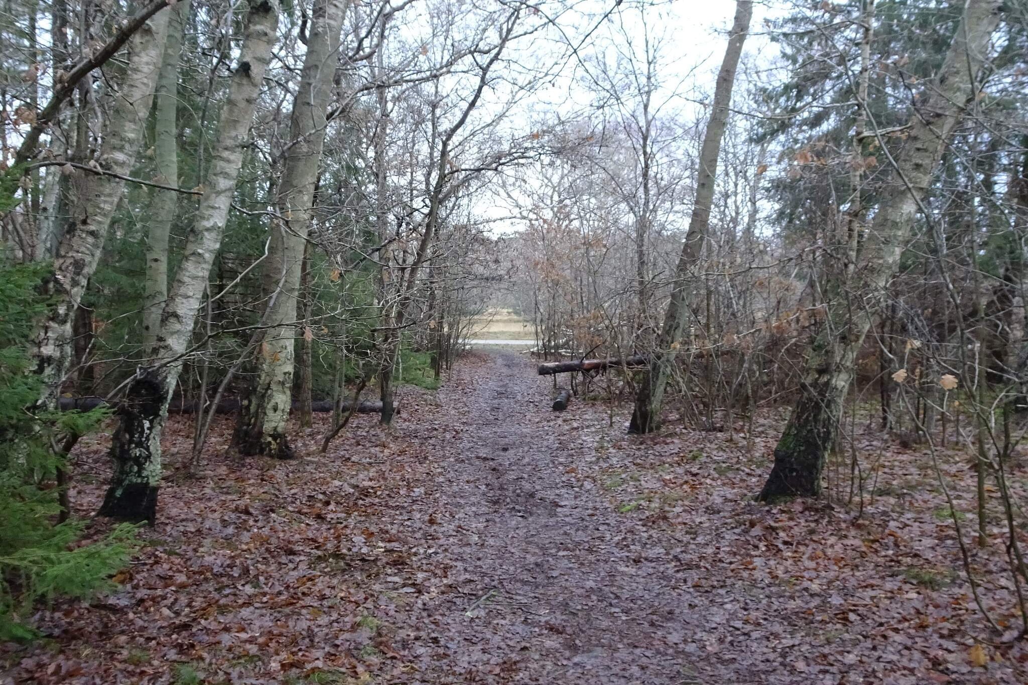 Internet Access DSL, Living room(4x single folding bed), open kitchen(cooker(electric), hood, coffee machine, dishwasher, fridge-freezer, washing machine), Living/bed room(TV(satellite, german television channels, danish TV channels (DR1 and TV2)), CD player, stereo unit), bedroom(double bed), bedroom(double bed), bedroom(double bed), bathroom(floor heating)(bathtub or shower, washbasin, toilet), bathroom(floor heating)(bathtub or shower, washbasin, toilet), Bubble bath(indoor), sauna(indoor, heated), heating(electric), terrace, garden