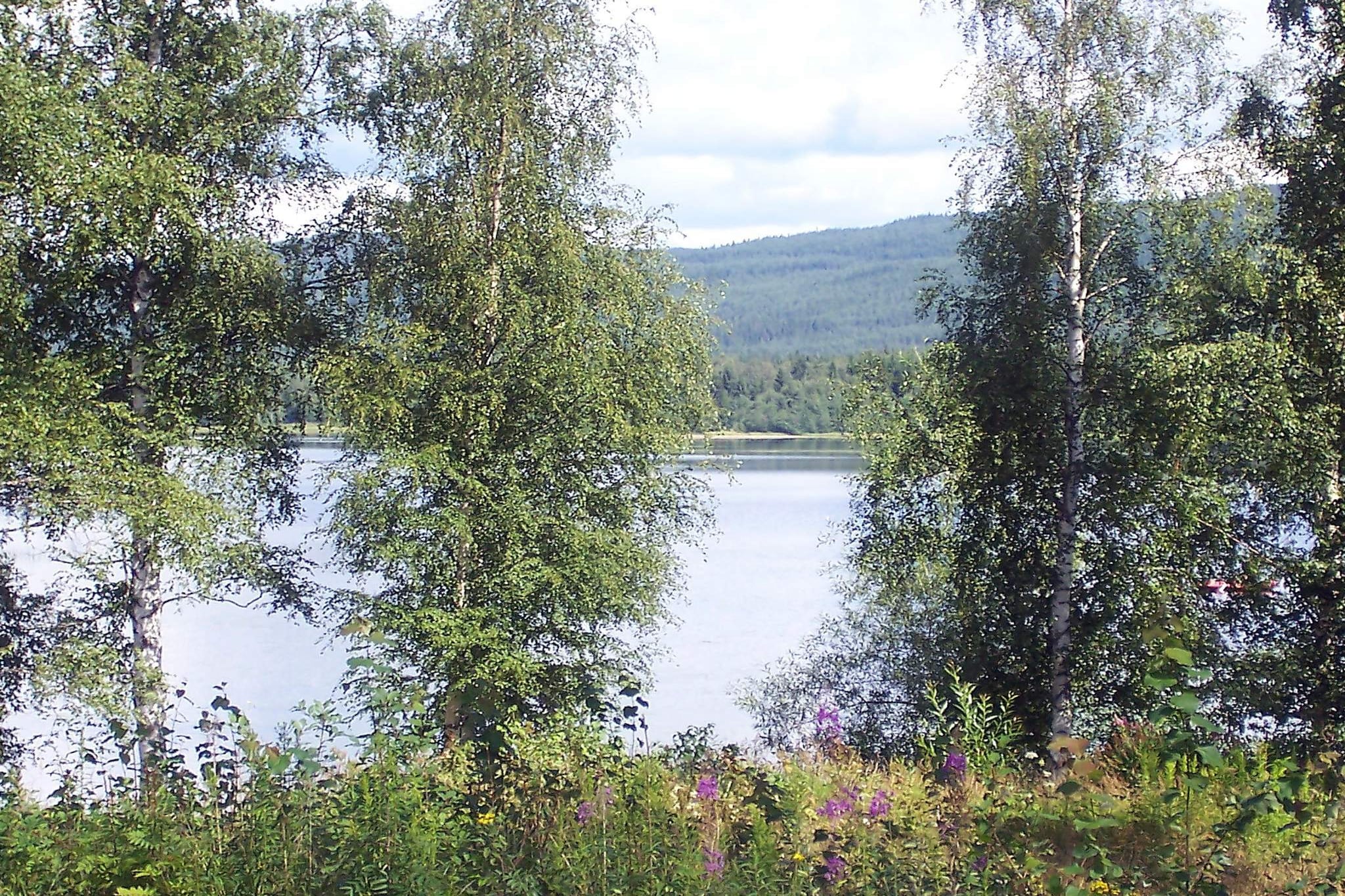 6 persoons vakantie huis in TORSBY-By Traum