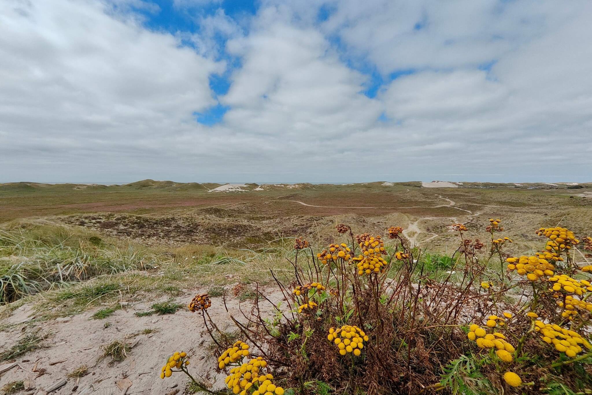 Gemutliches Refugium am Meer -- By Traum Ferienwohnungen - Nicht zugeordnet