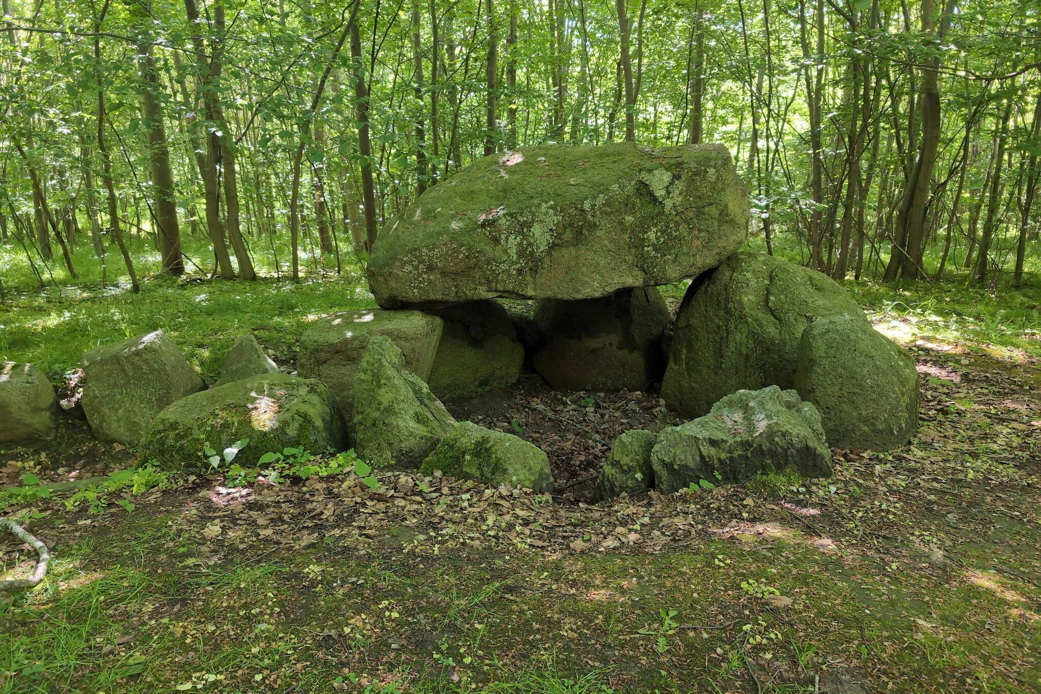 6 Personen Ferienhaus in Præstø-By Traum-Nicht zugeordnet
