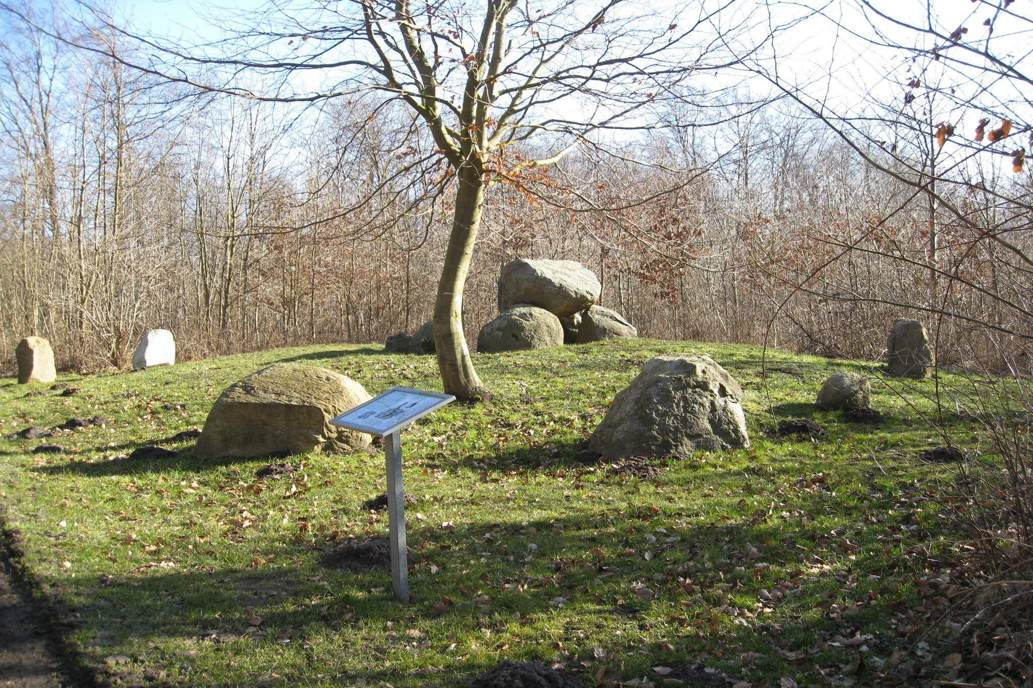 6 Personen Ferienhaus in Præstø-By Traum-Nicht zugeordnet