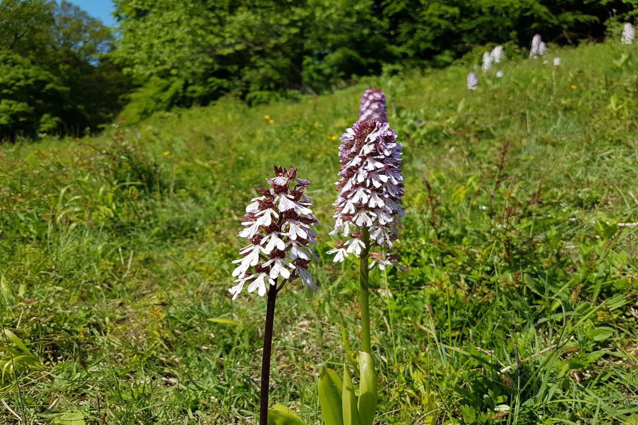 6 Personen Ferienhaus in Præstø-By Traum-Nicht zugeordnet