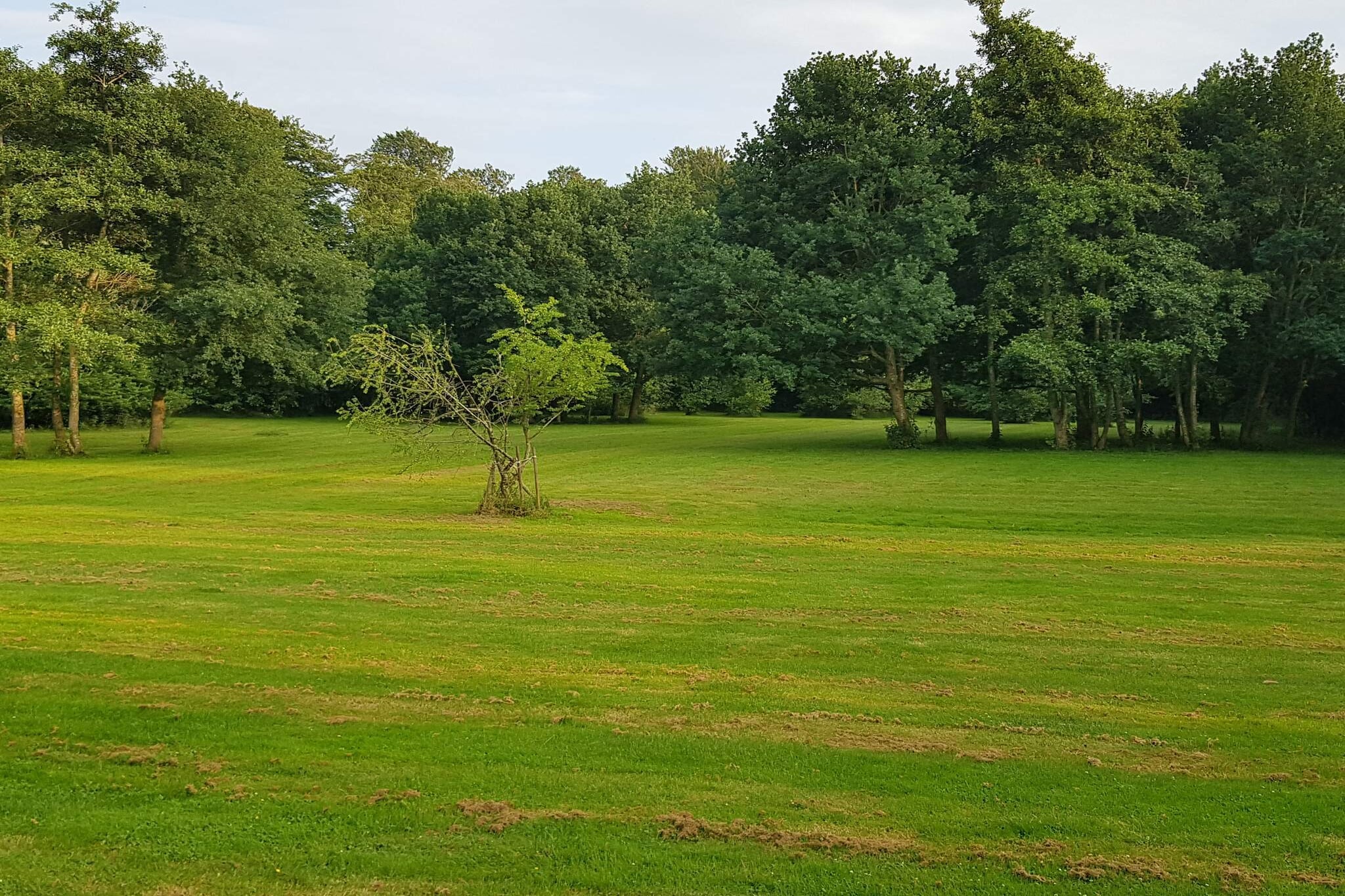 6 Personen Ferienhaus in Præstø-By Traum-Nicht zugeordnet