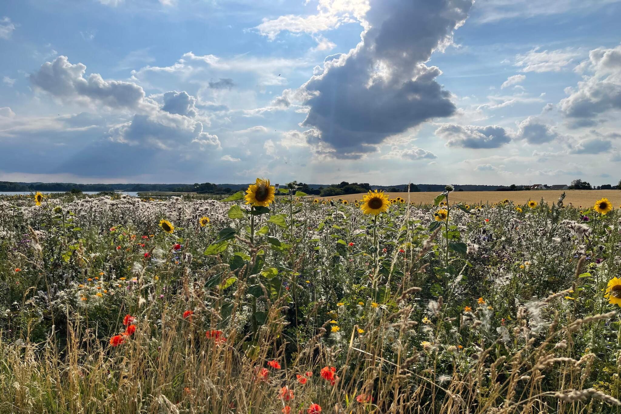 6 Personen Ferienhaus in Præstø-By Traum-Nicht zugeordnet